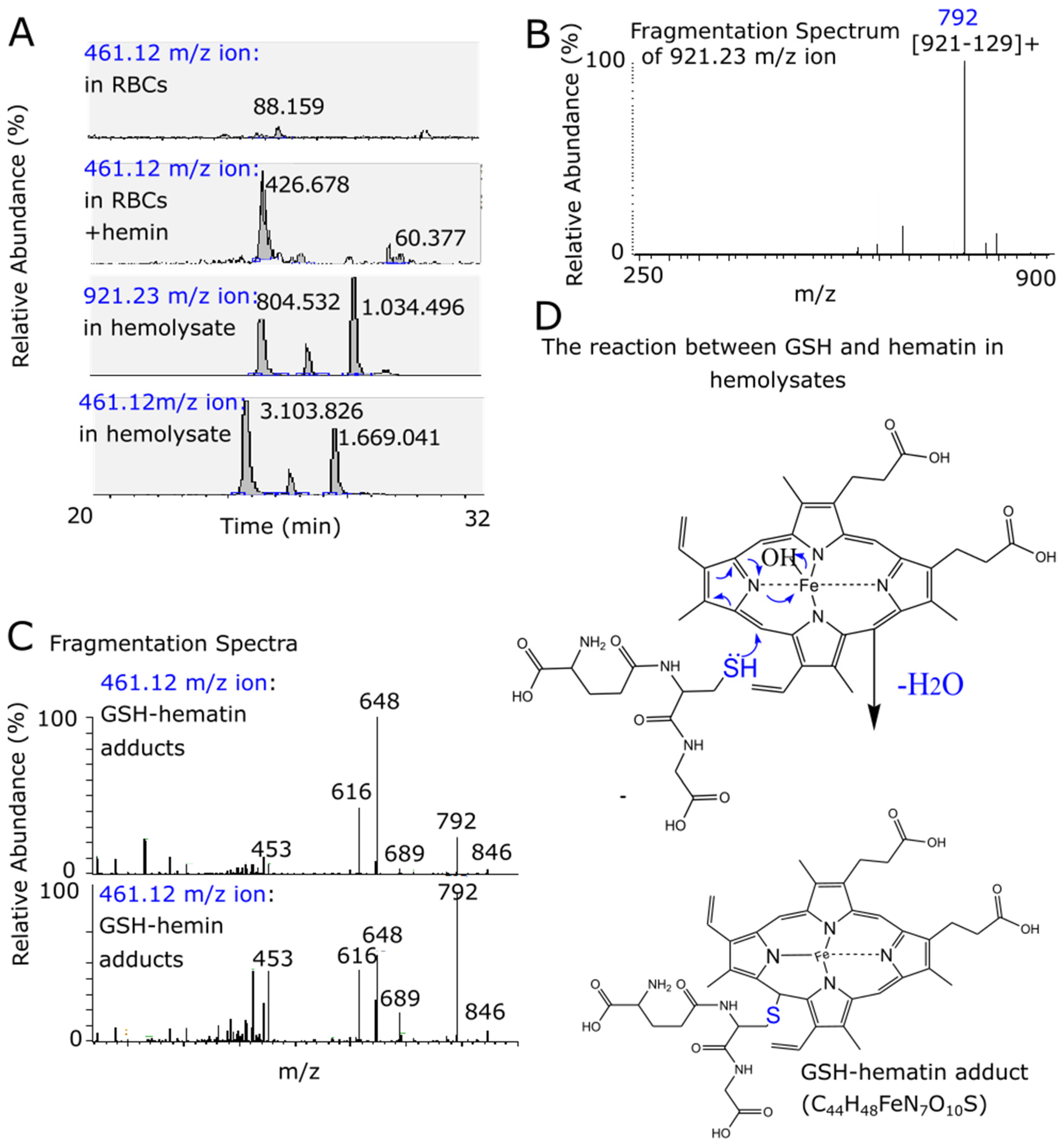 Antioxidants 11 01959 g007 Antioxidants 11 01959 g007