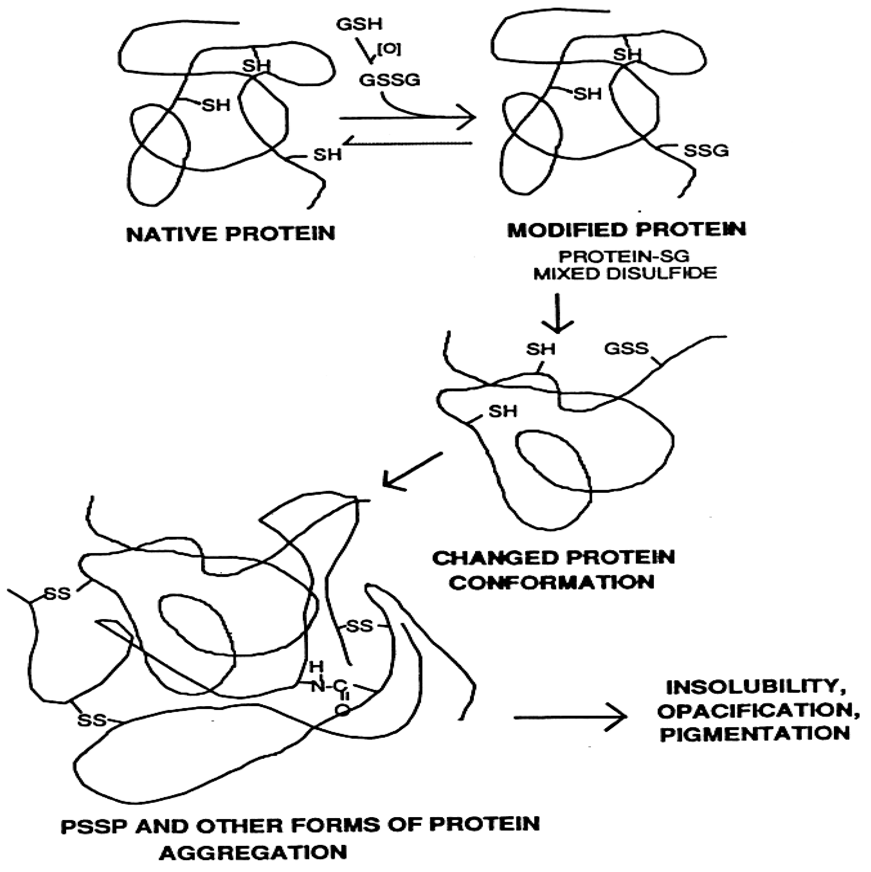 Antioxidants 11 01973 g003