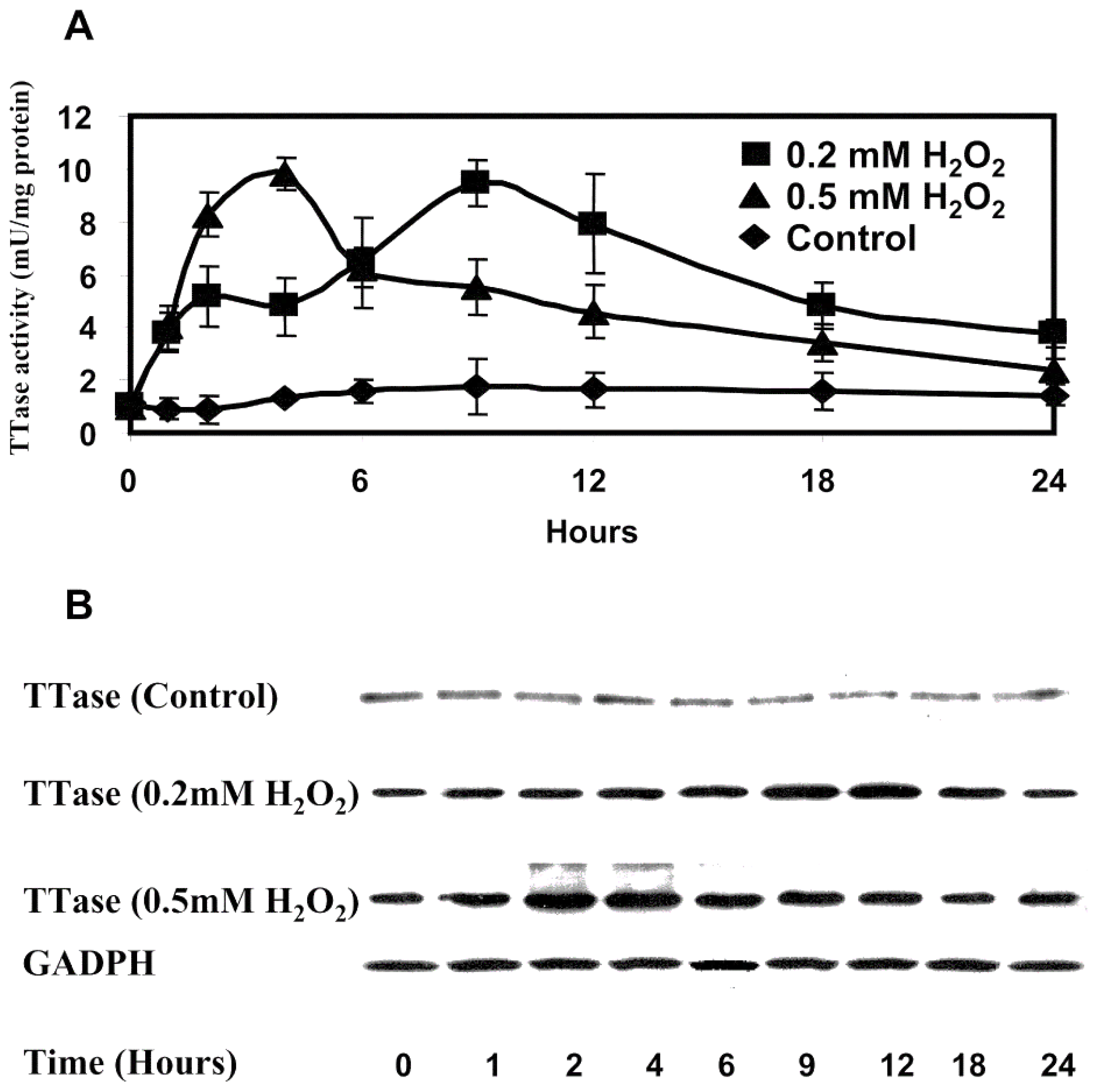 Antioxidants 11 01973 g005