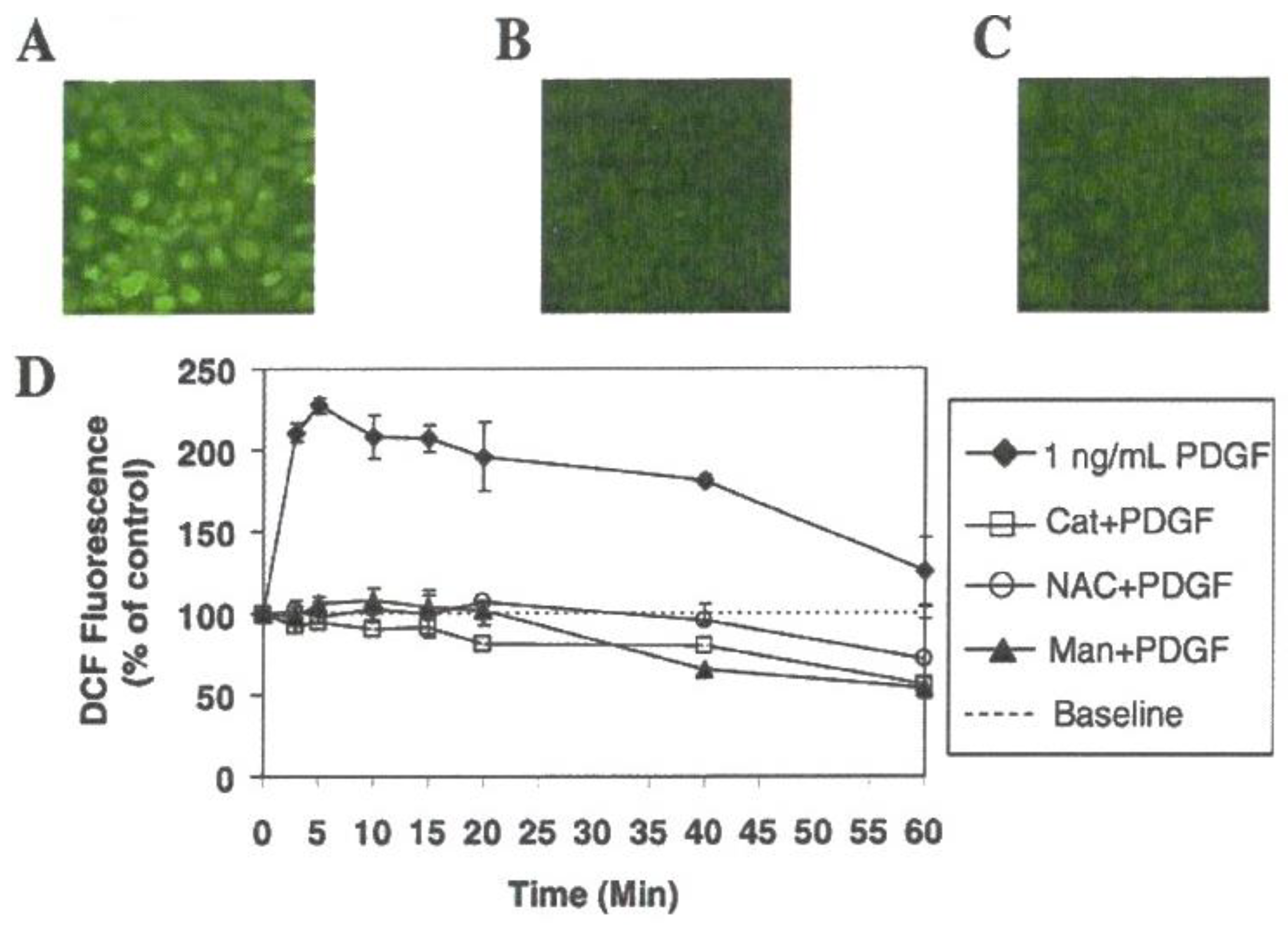 Antioxidants 11 01973 g008