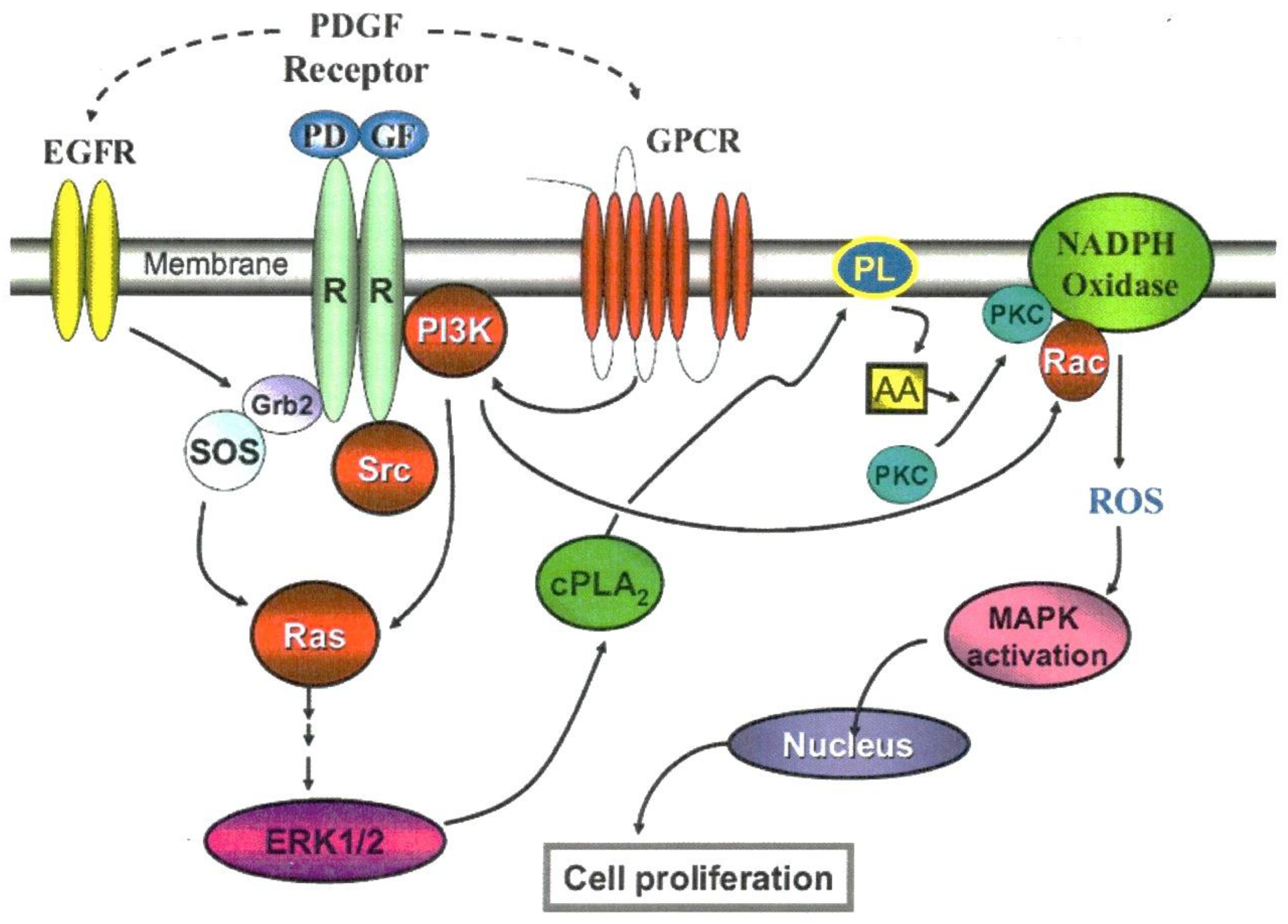 Antioxidants 11 01973 g010