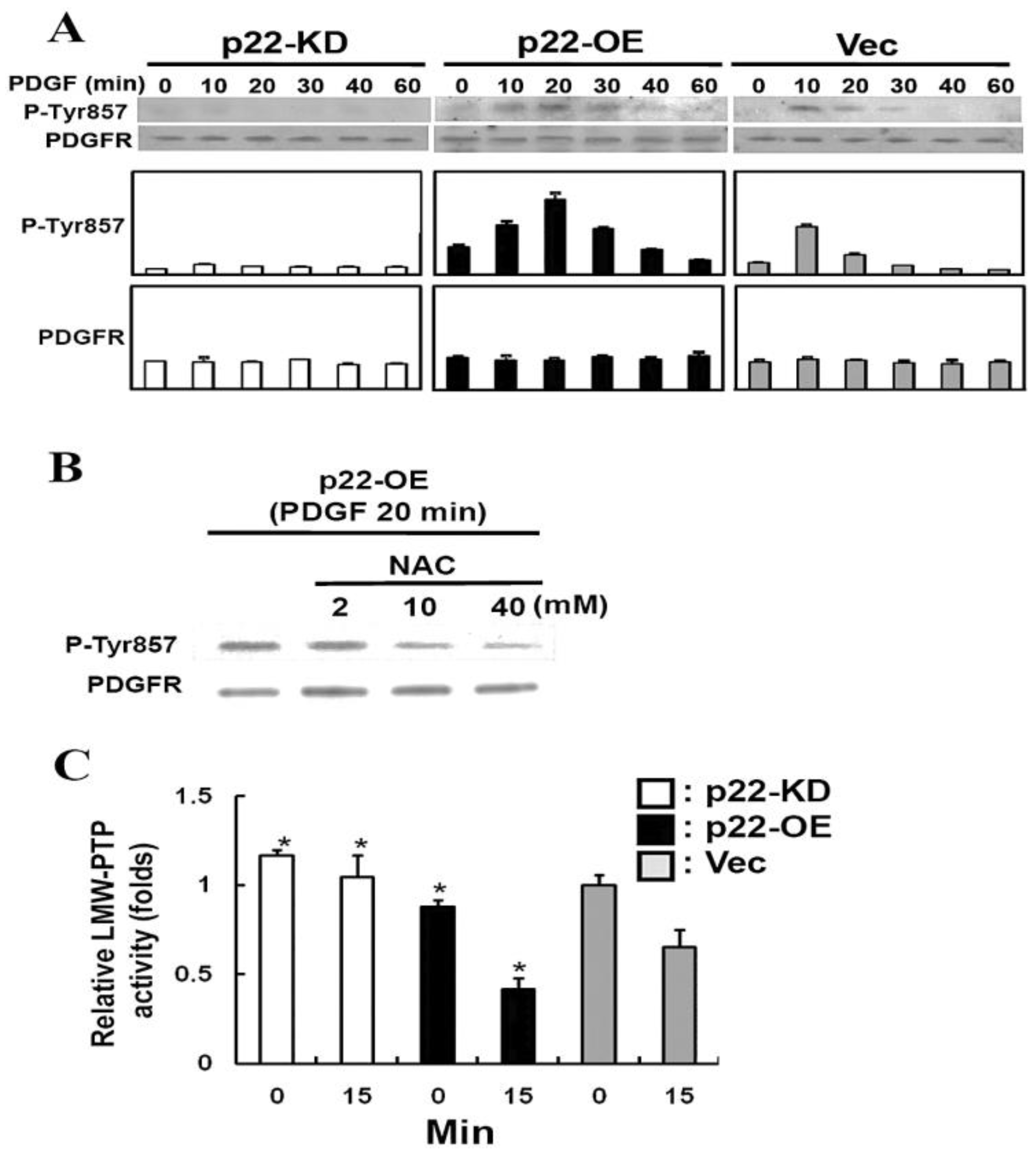 Antioxidants 11 01973 g011