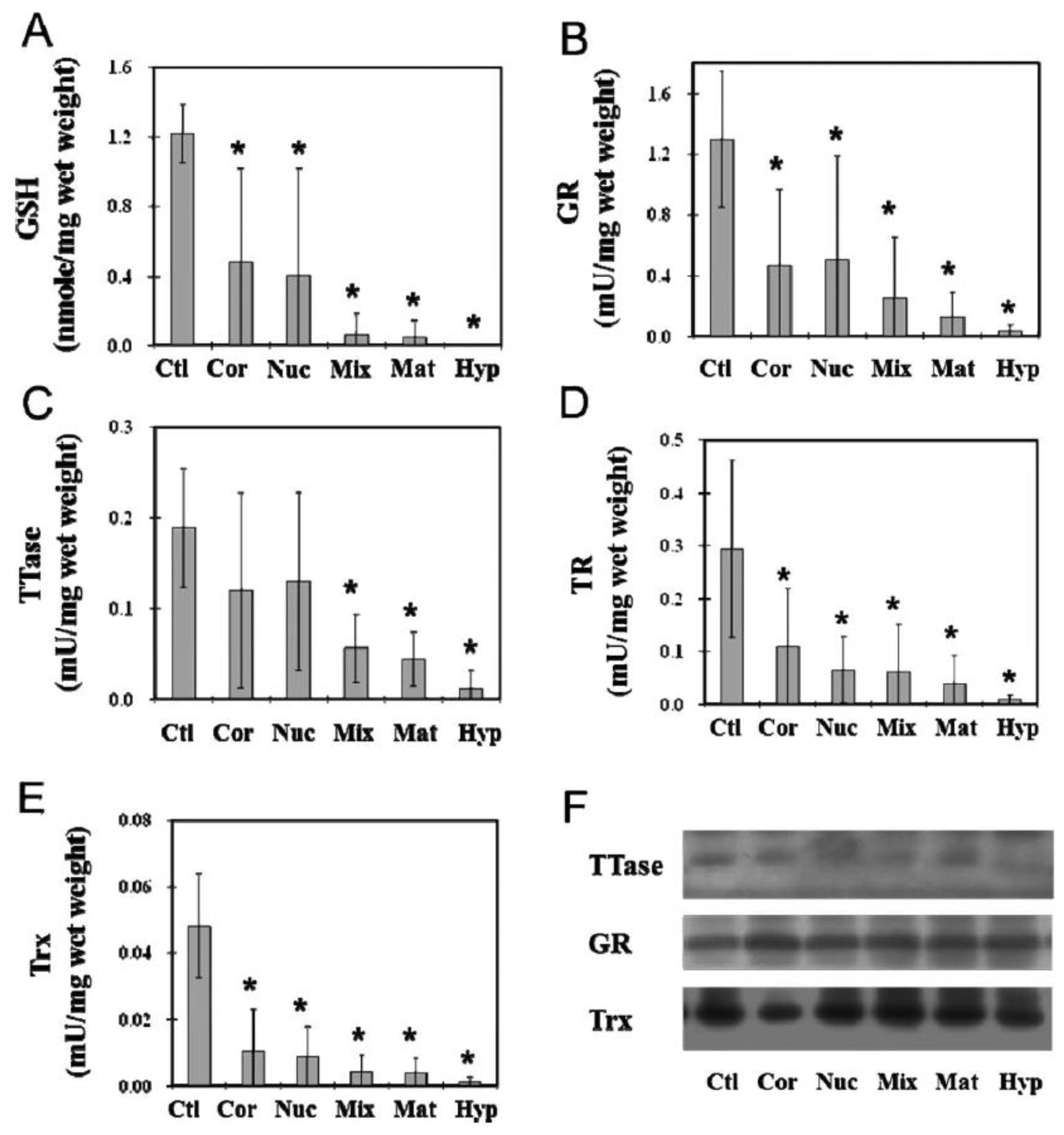 Antioxidants 11 01973 g017