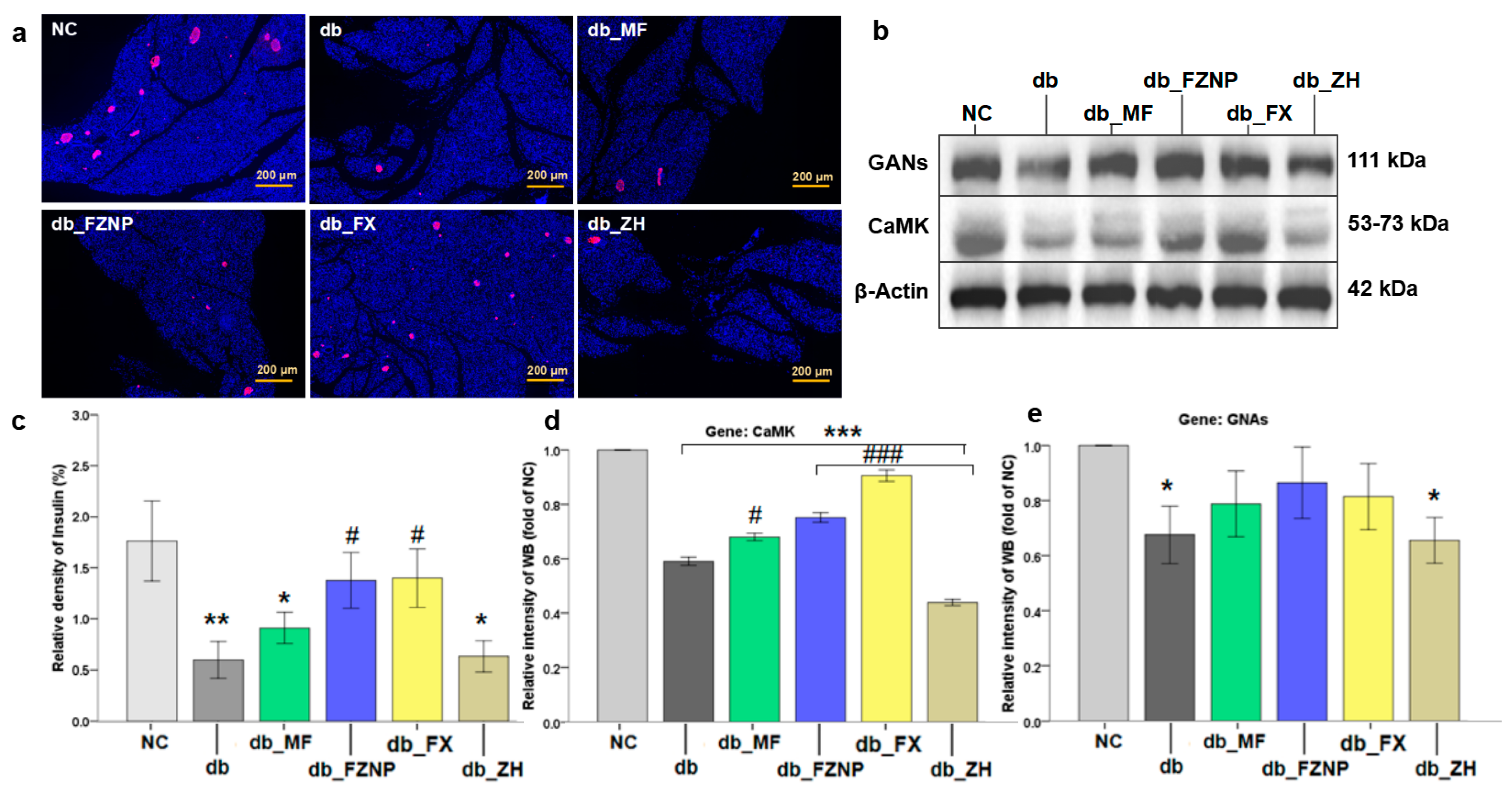 Antioxidants 11 01976 g005 Antioxidants 11 01976 g005
