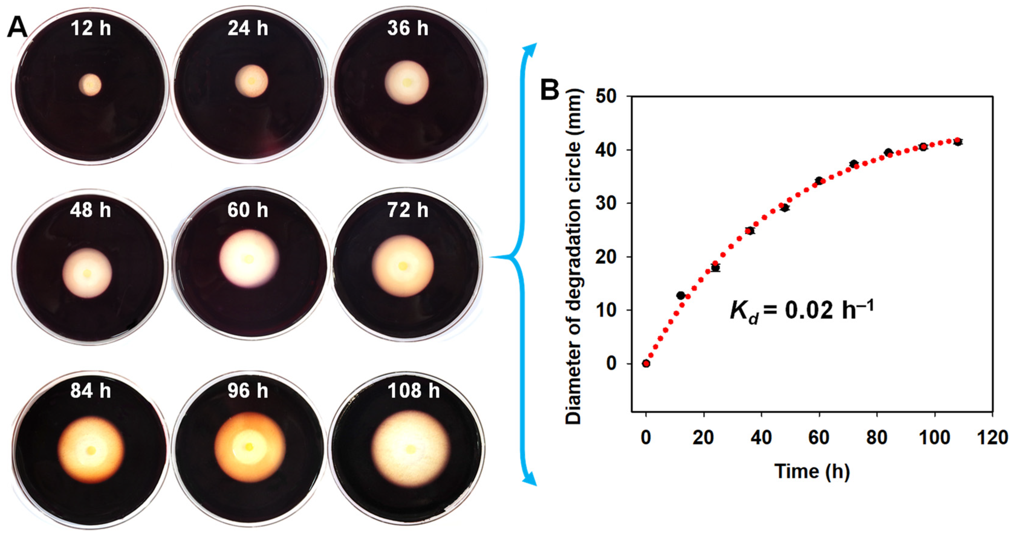 Antioxidants 11 01977 g003 Antioxidants 11 01977 g003