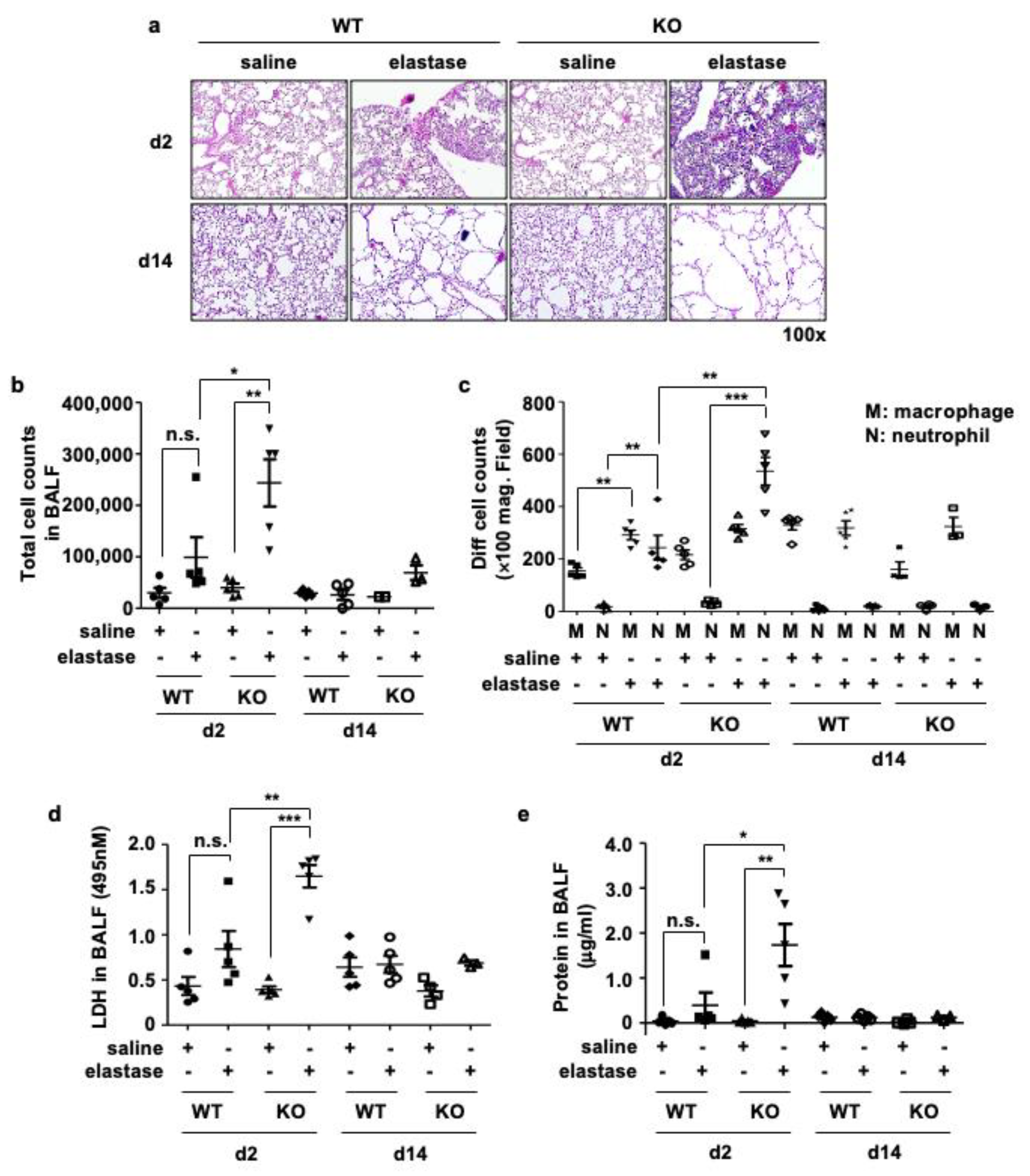 Antioxidants 11 01980 g003a Antioxidants 11 01980 g003a
