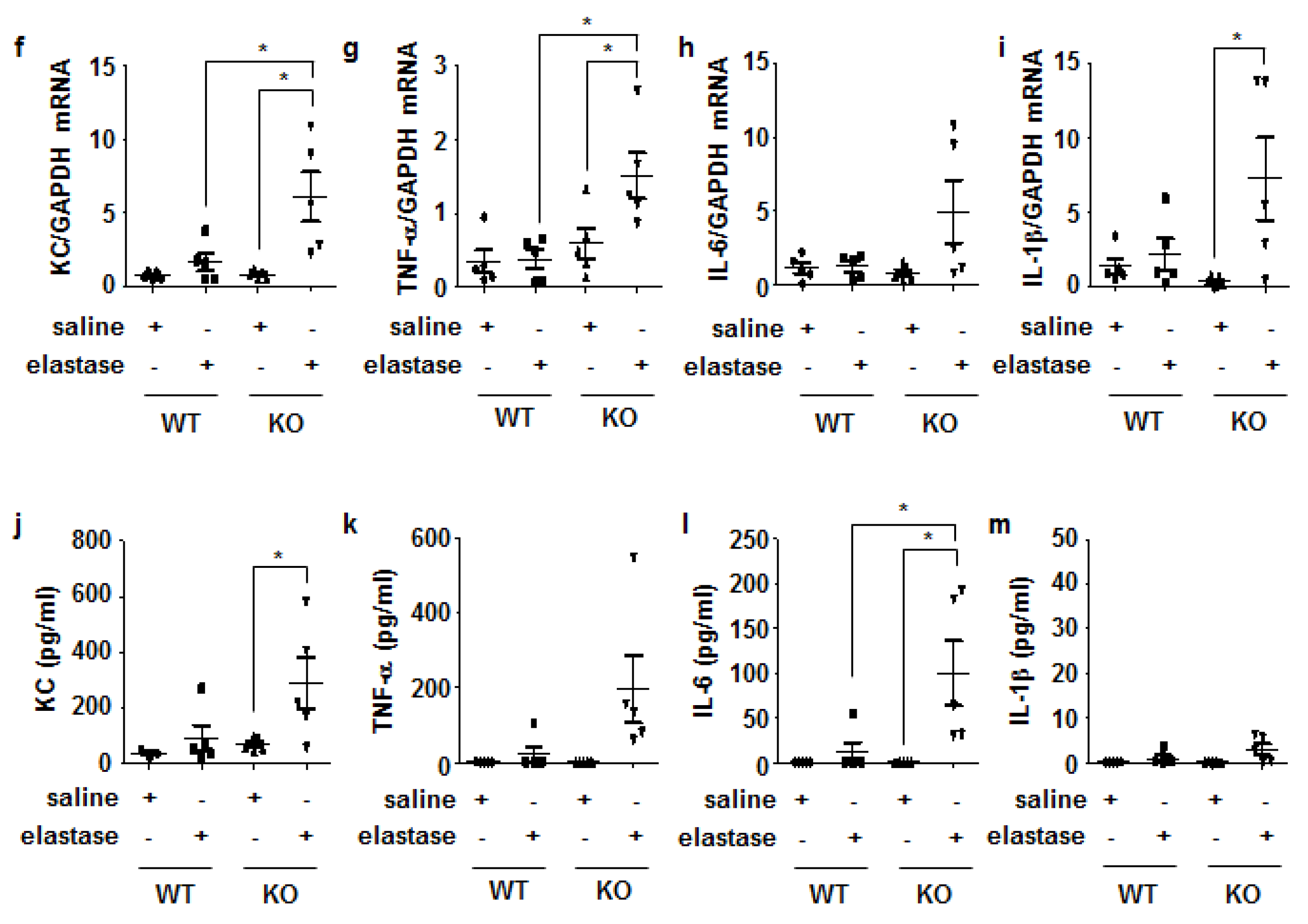 Antioxidants 11 01980 g003b Antioxidants 11 01980 g003b