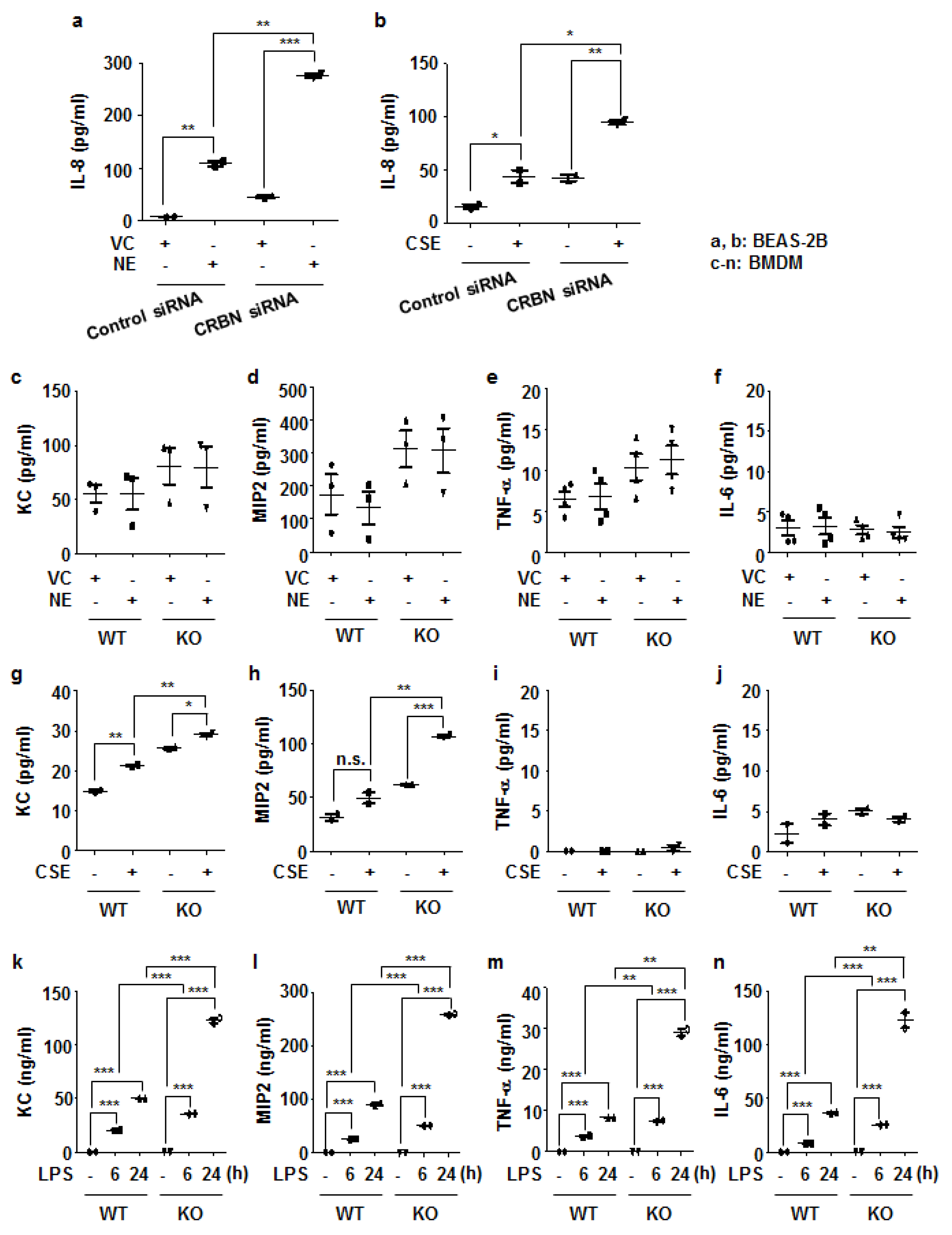 Antioxidants 11 01980 g004 Antioxidants 11 01980 g004