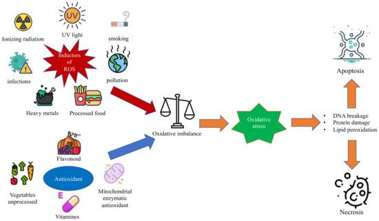 The Impact of Oxidative Stress on Pediatrics Syndromes
