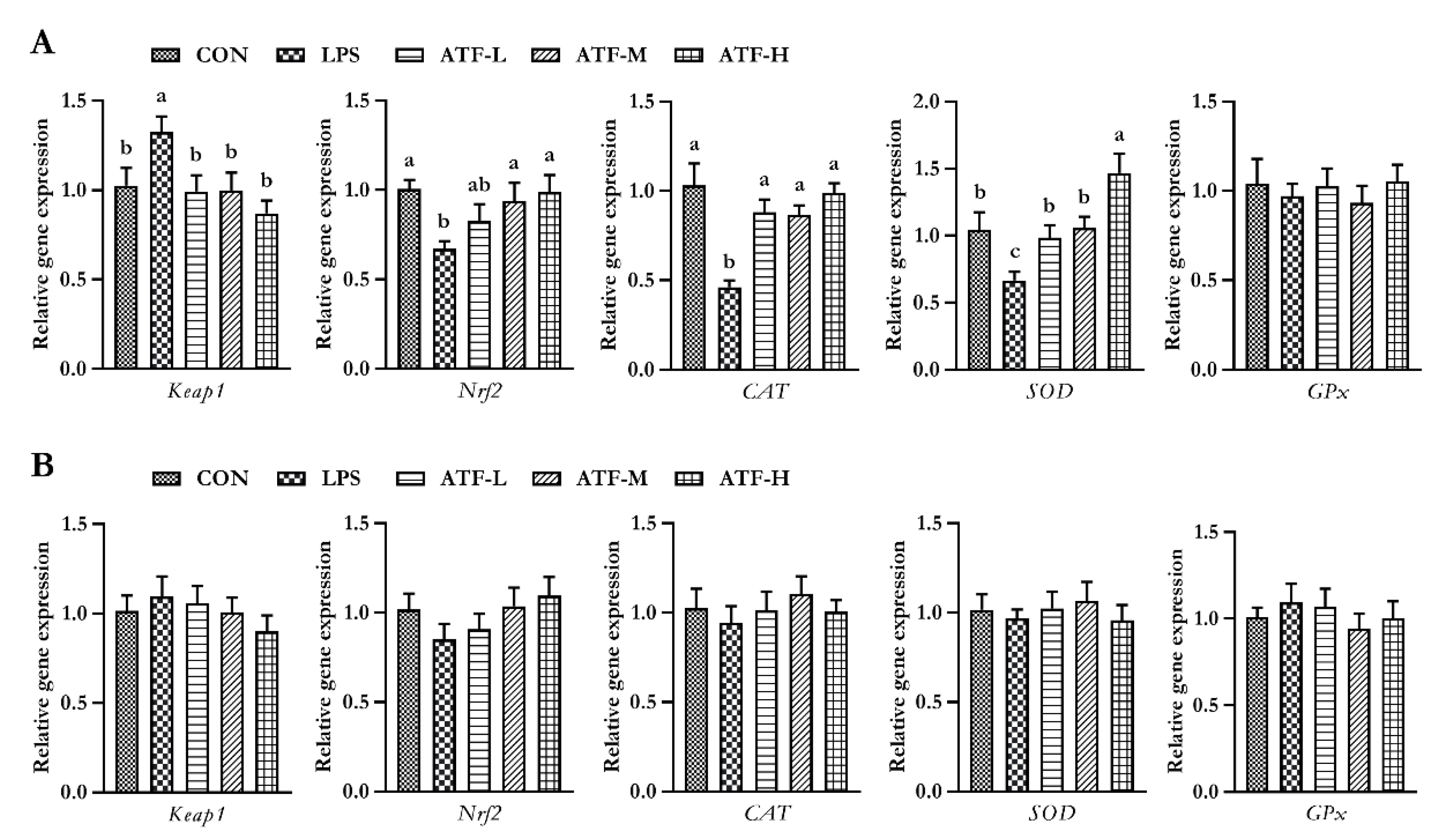 Antioxidants 11 01985 g001