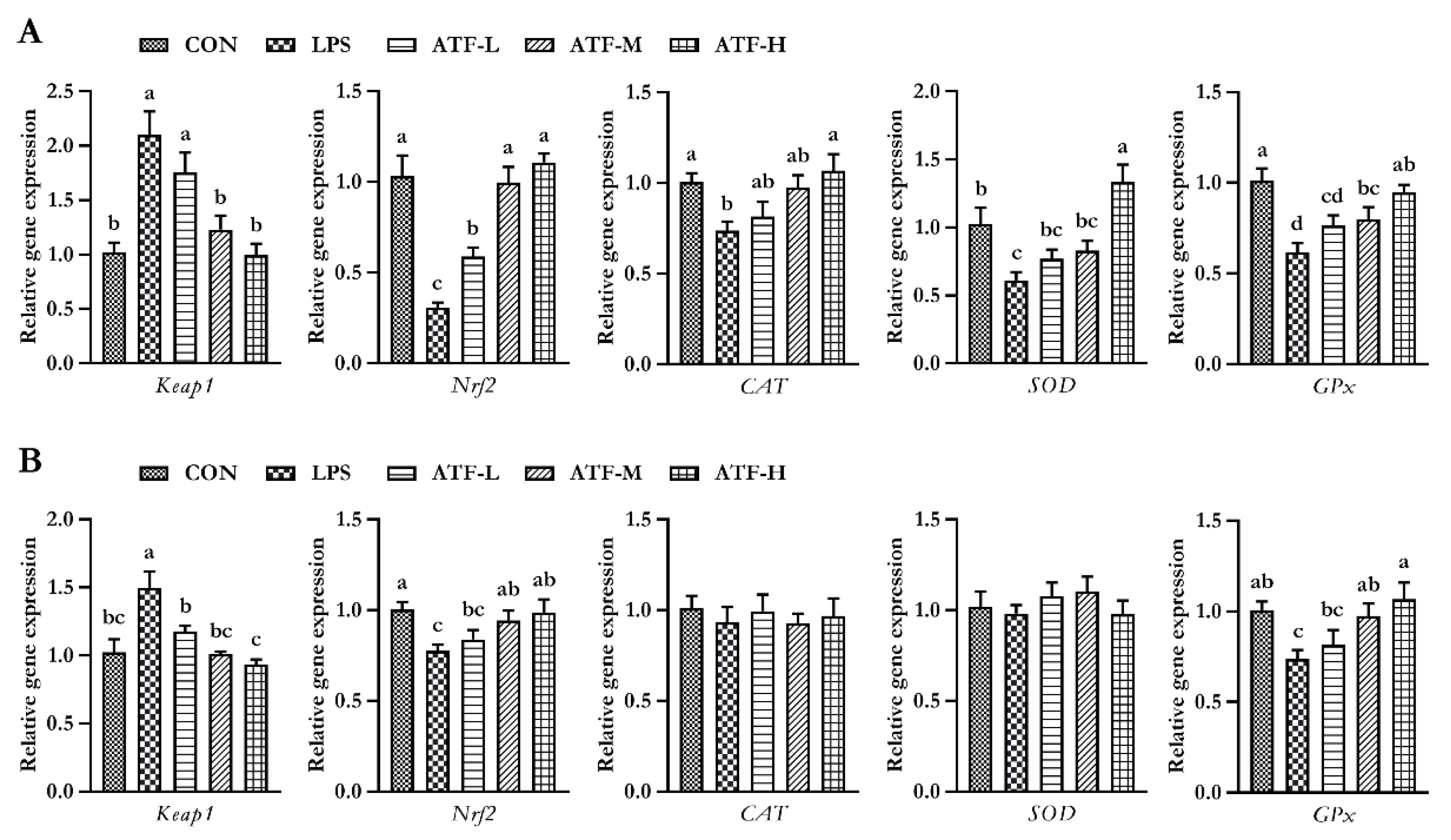 Antioxidants 11 01985 g002