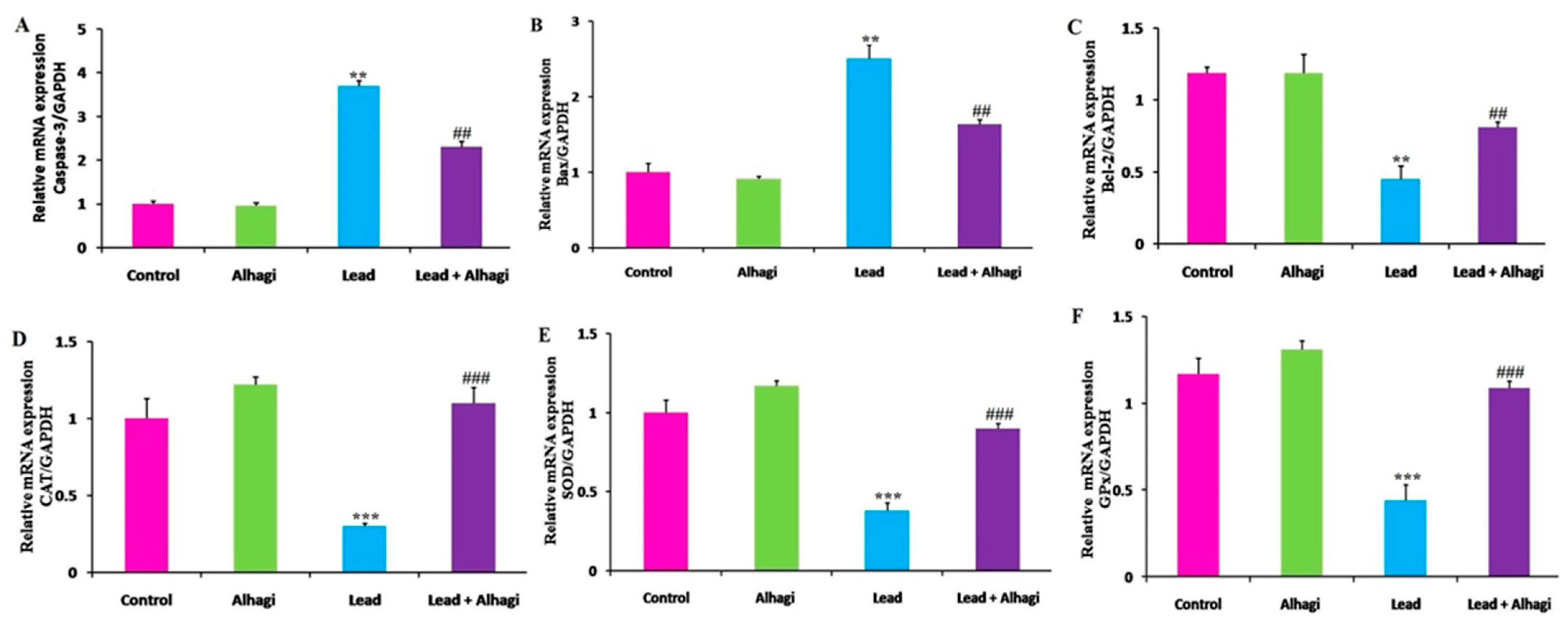 Antioxidants 11 01992 g003 Antioxidants 11 01992 g003