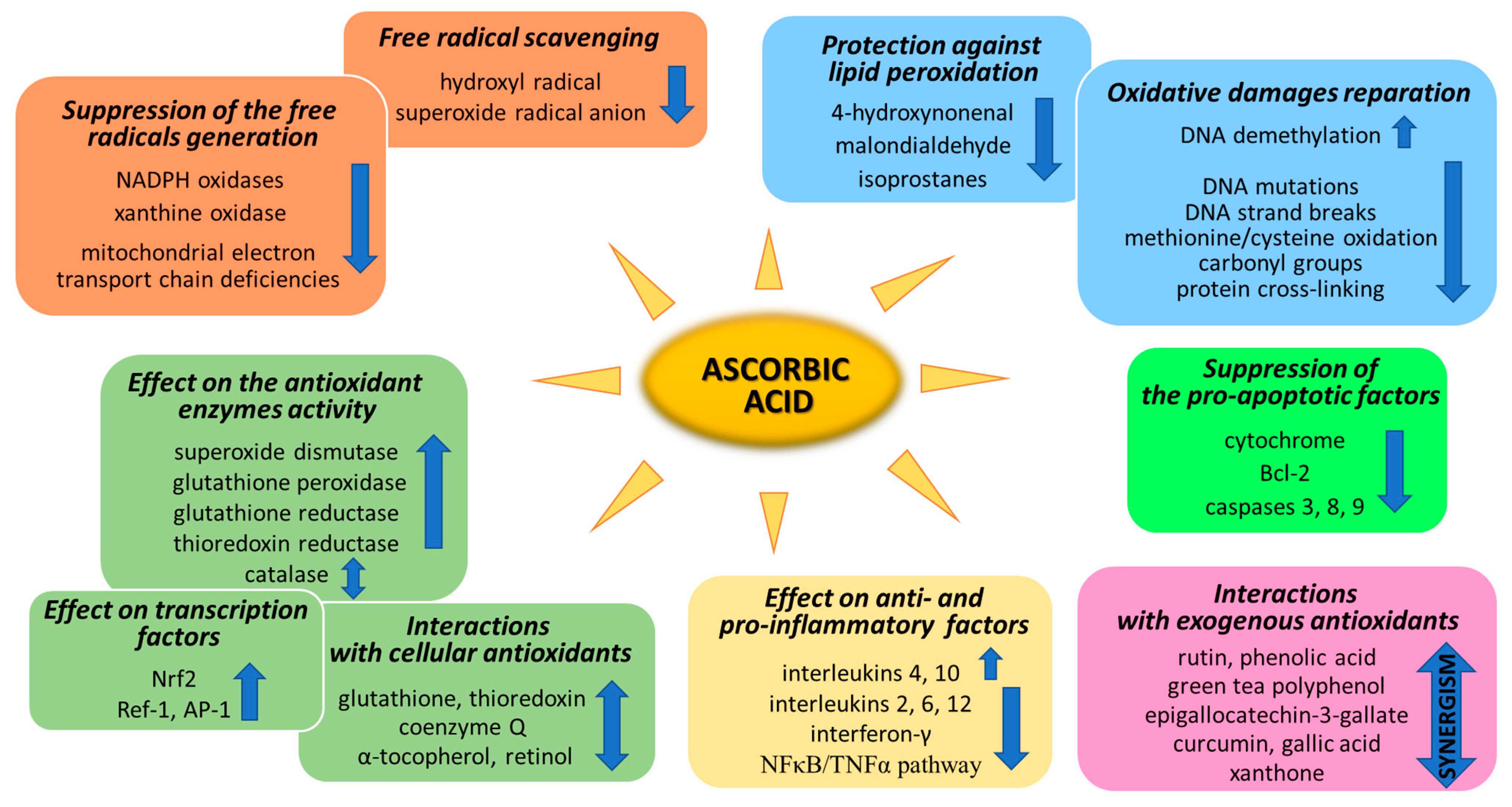 Antioxidants 11 01993 g002