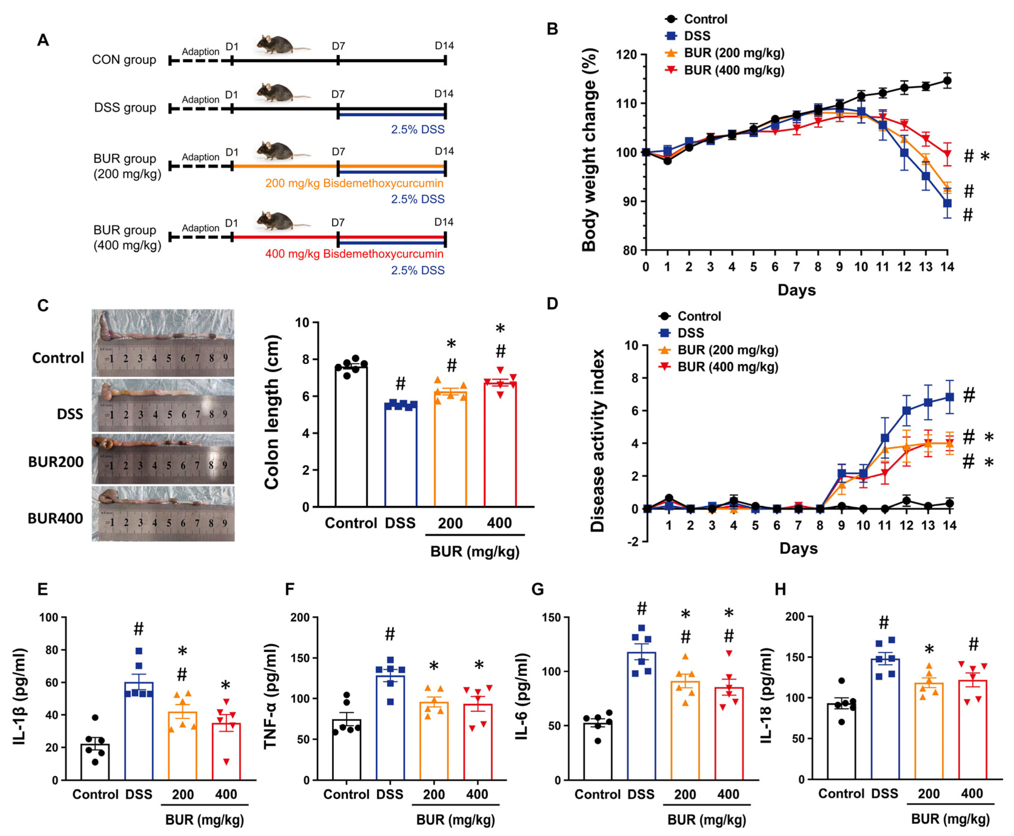 Antioxidants 11 01994 g001 Antioxidants 11 01994 g001
