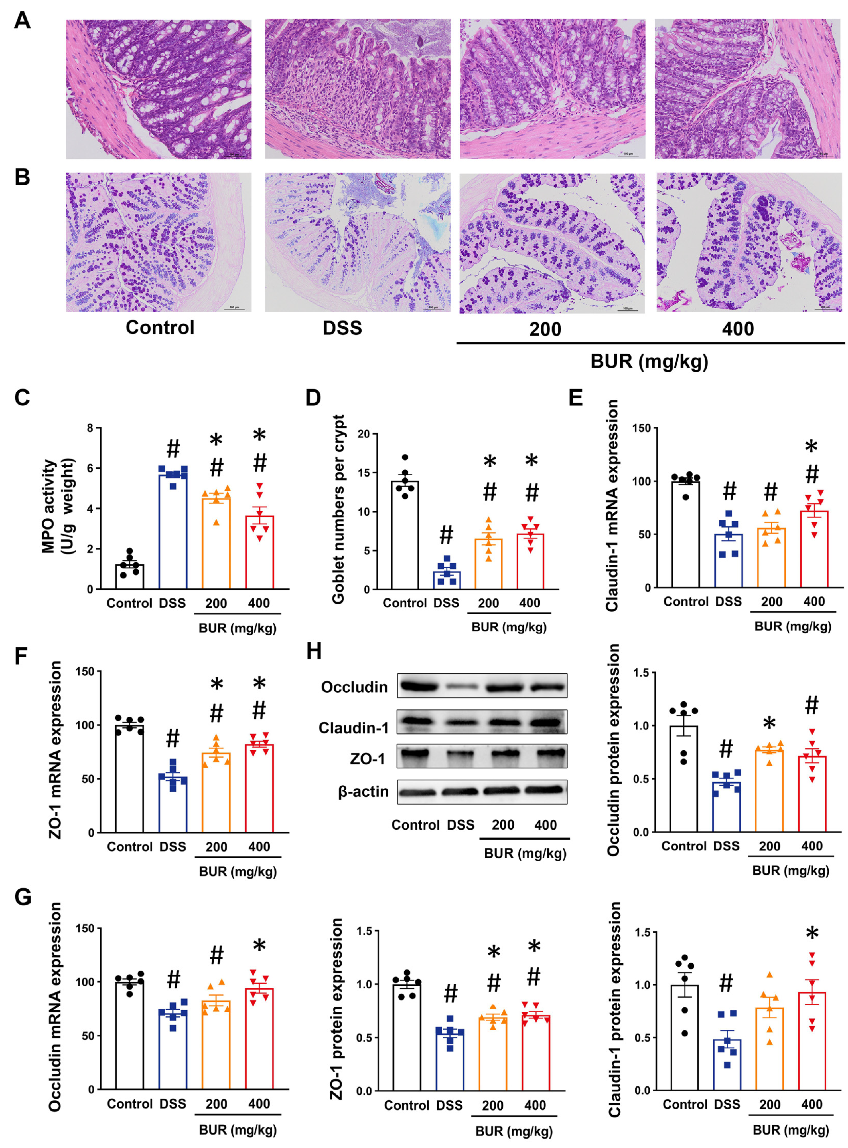 Antioxidants 11 01994 g002 Antioxidants 11 01994 g002