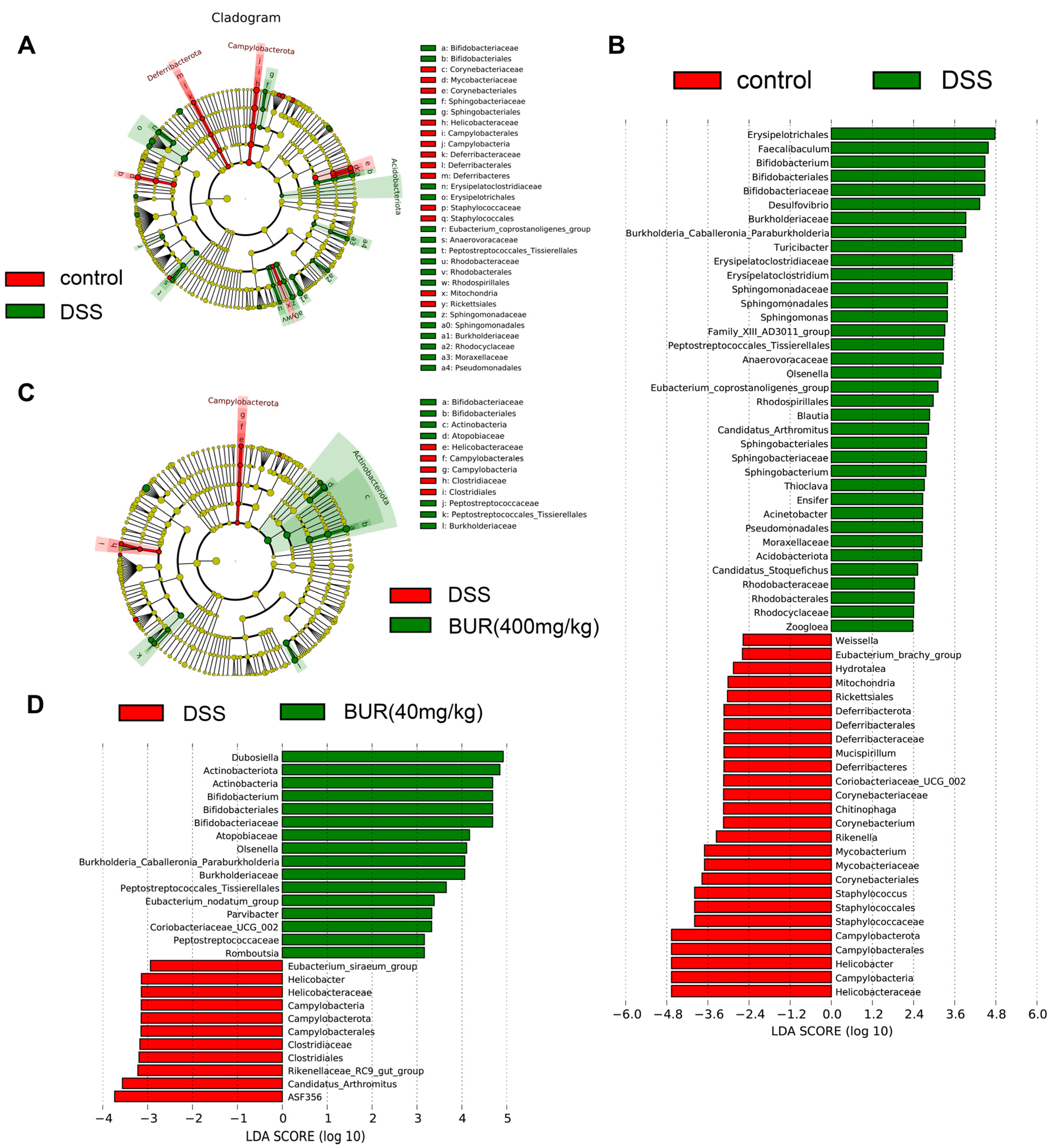 Antioxidants 11 01994 g006 Antioxidants 11 01994 g006