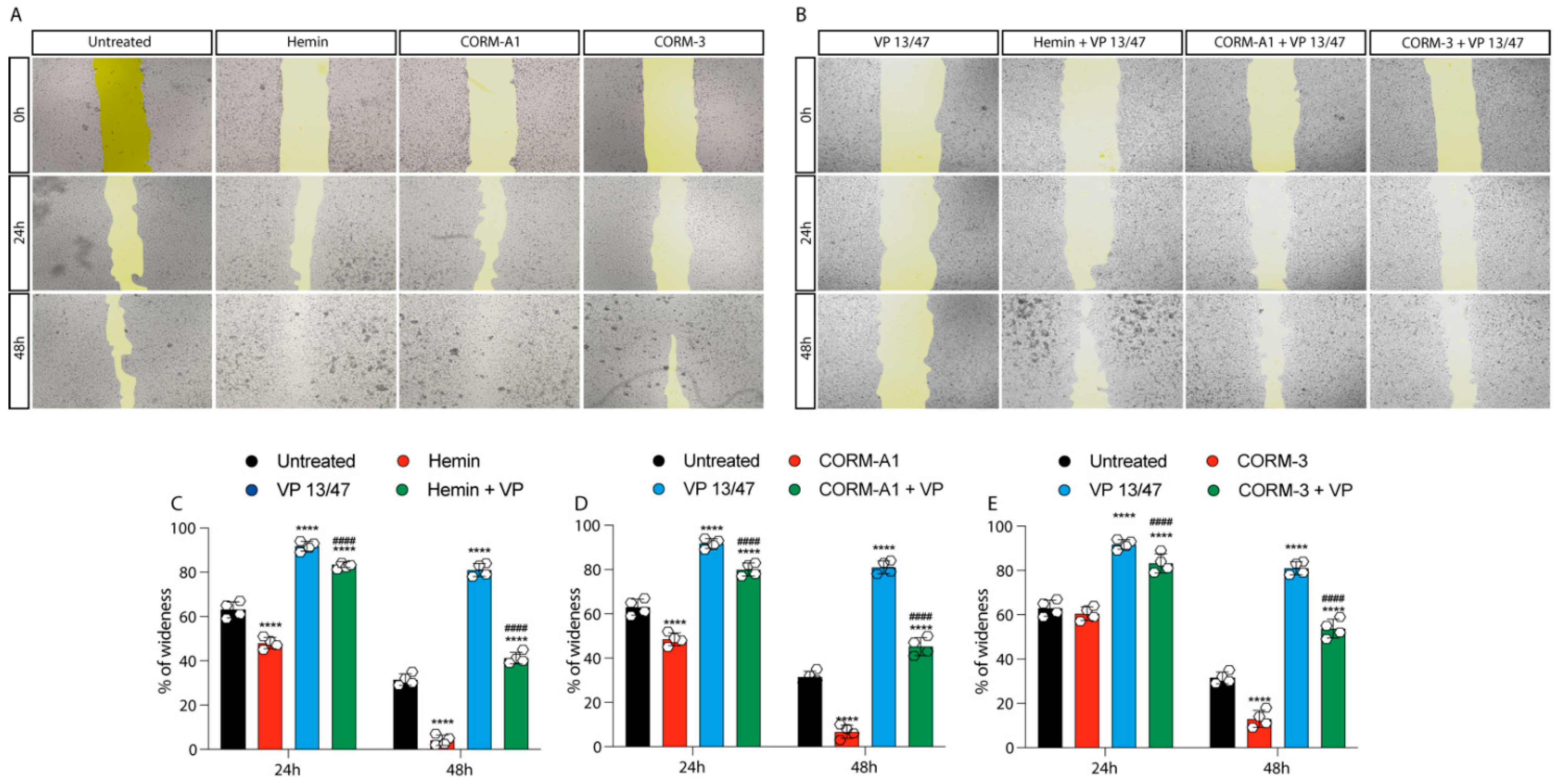 Antioxidants 11 01997 g003 Antioxidants 11 01997 g003