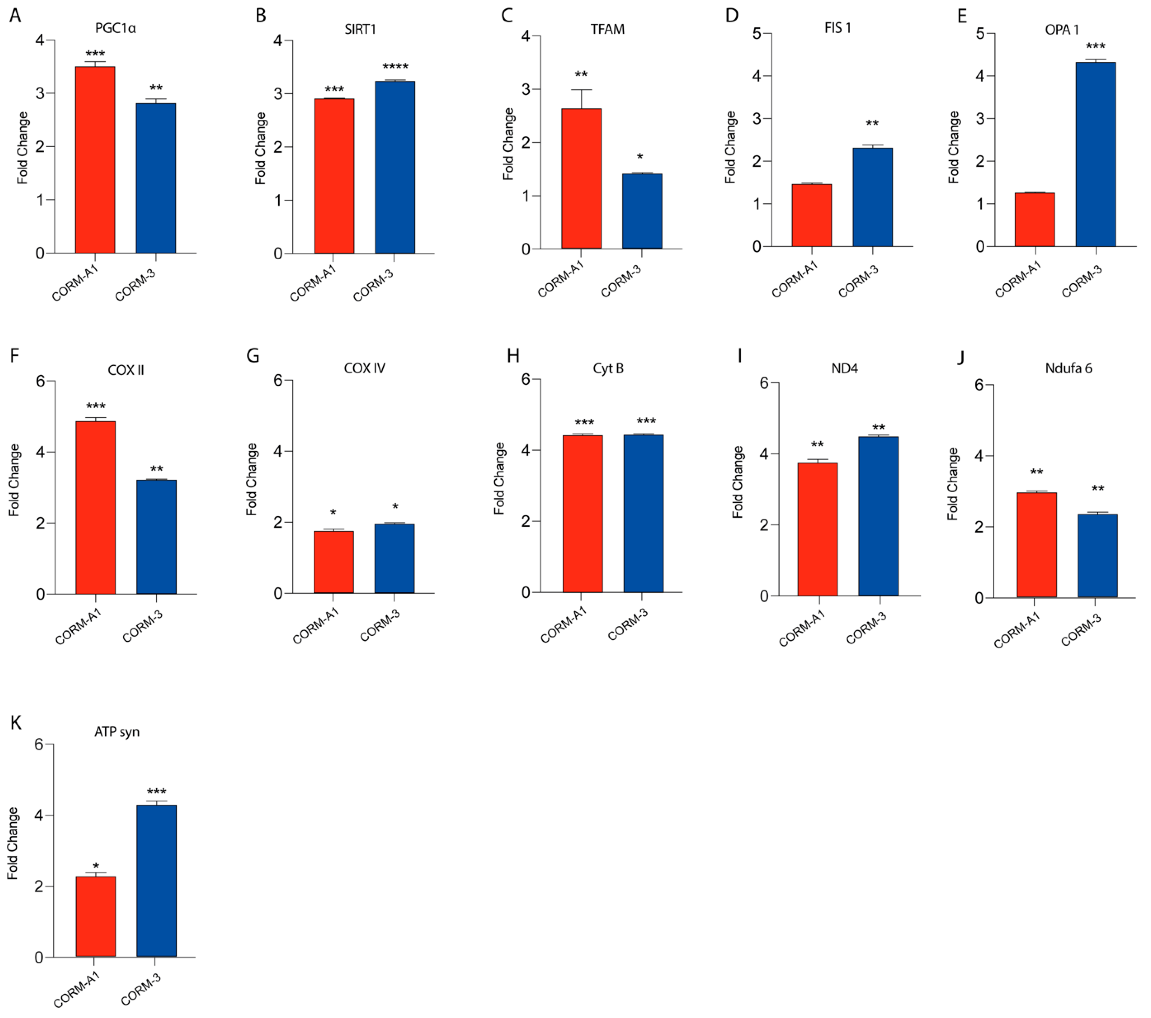 Antioxidants 11 01997 g004 Antioxidants 11 01997 g004