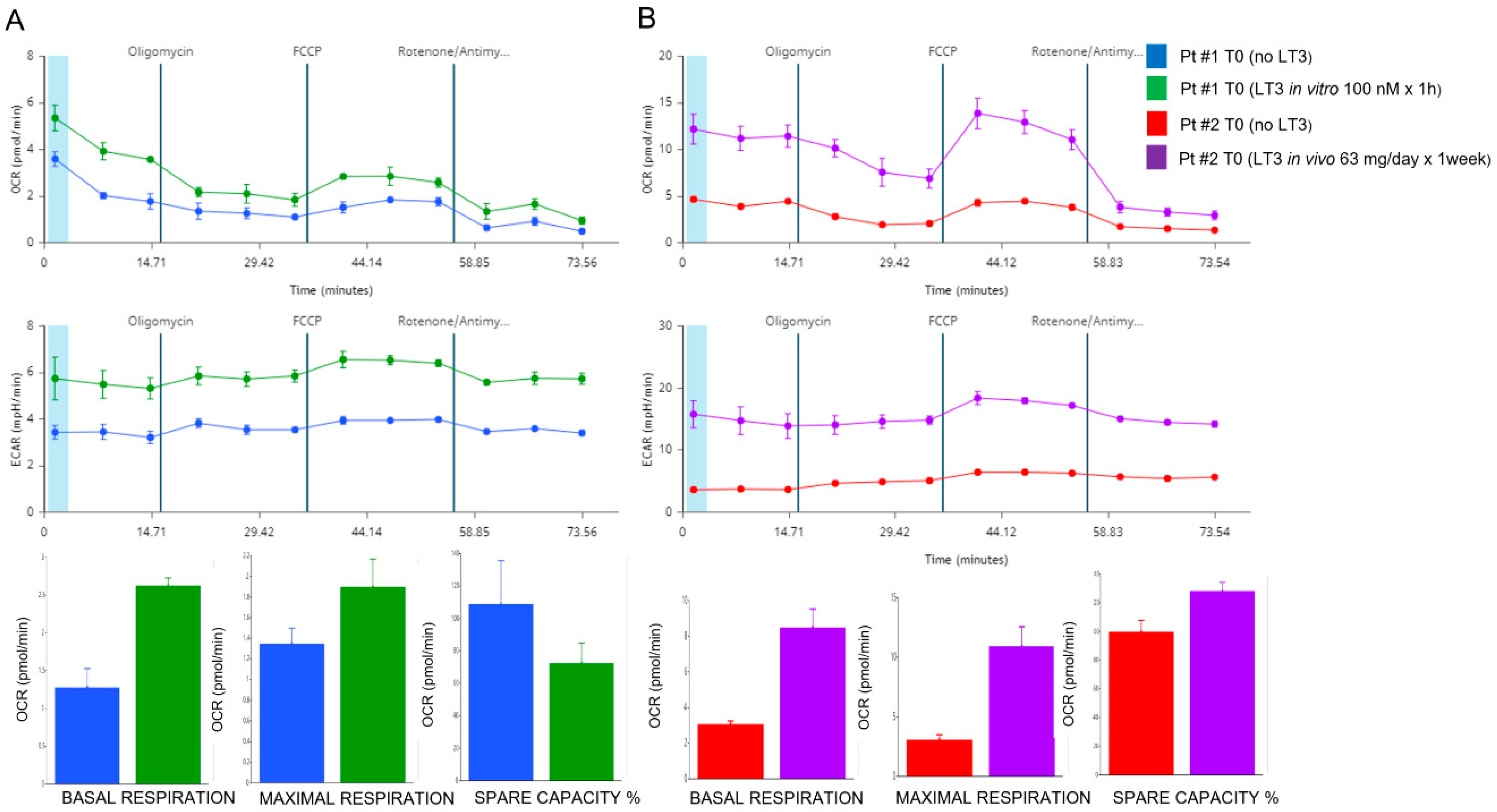 Antioxidants 11 01998 g005