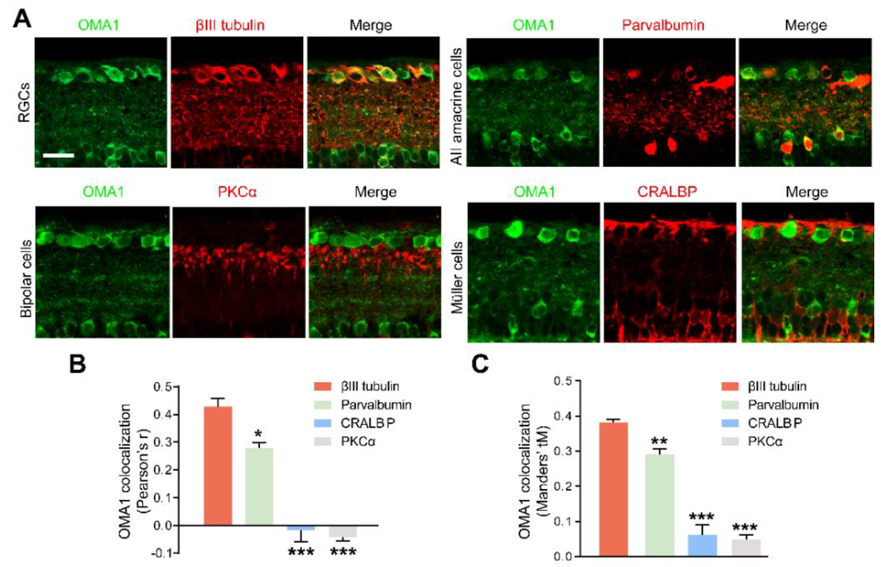 Antioxidants 11 02001 g003 Antioxidants 11 02001 g003
