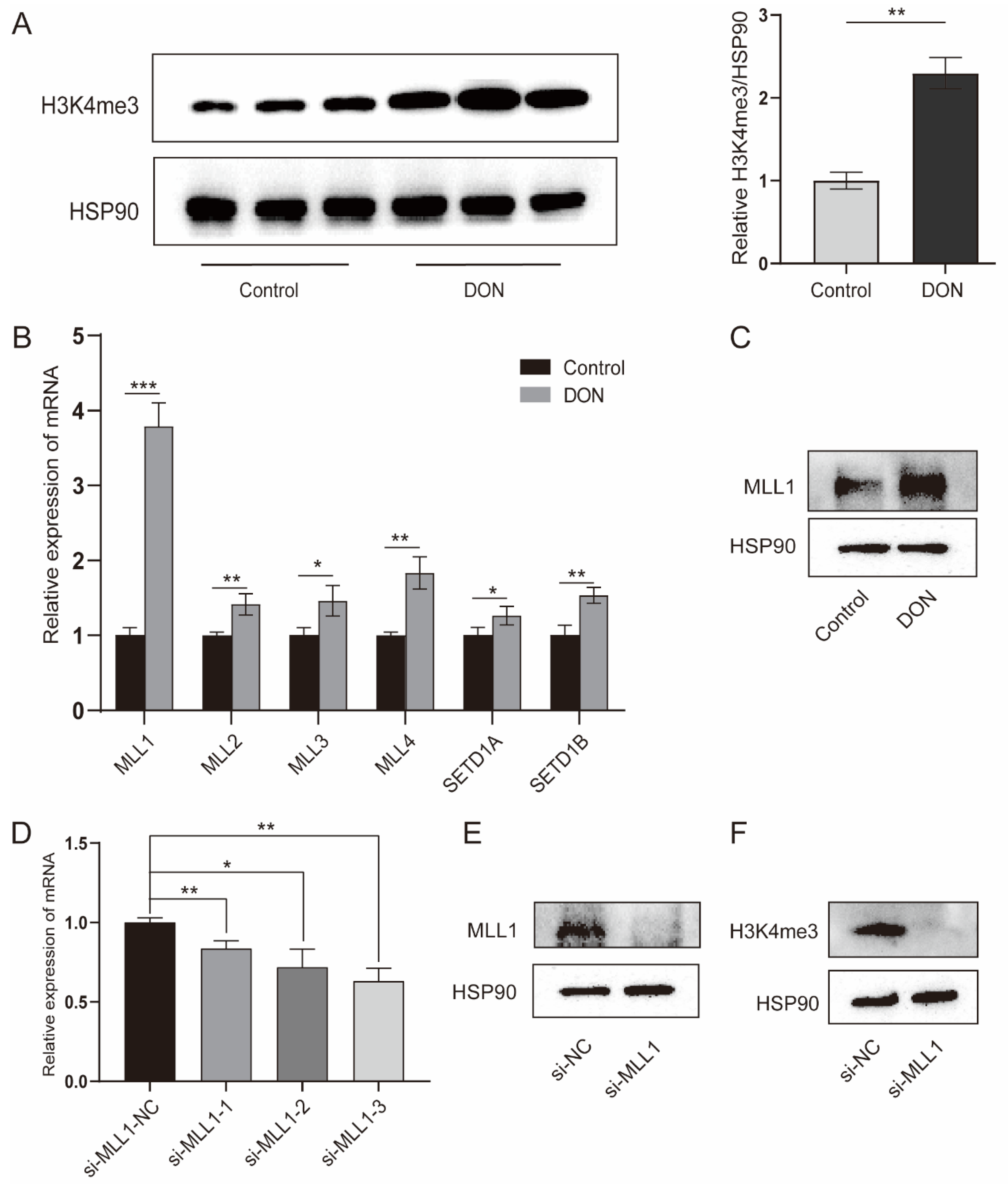 Histone methyltransferases Setd1b increases H3K4me3 level to