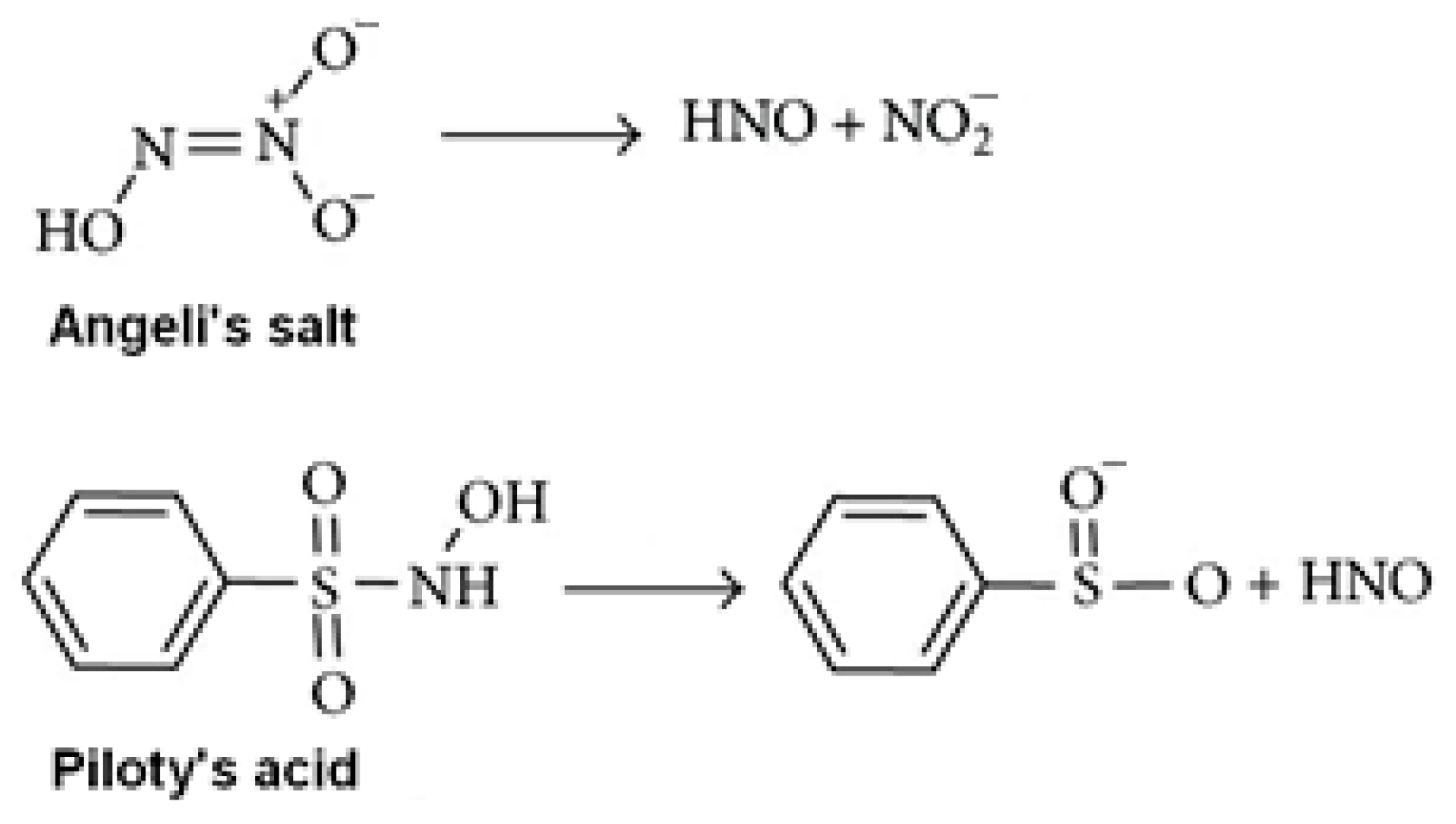 Antioxidants 11 02007 g001 Antioxidants 11 02007 g001