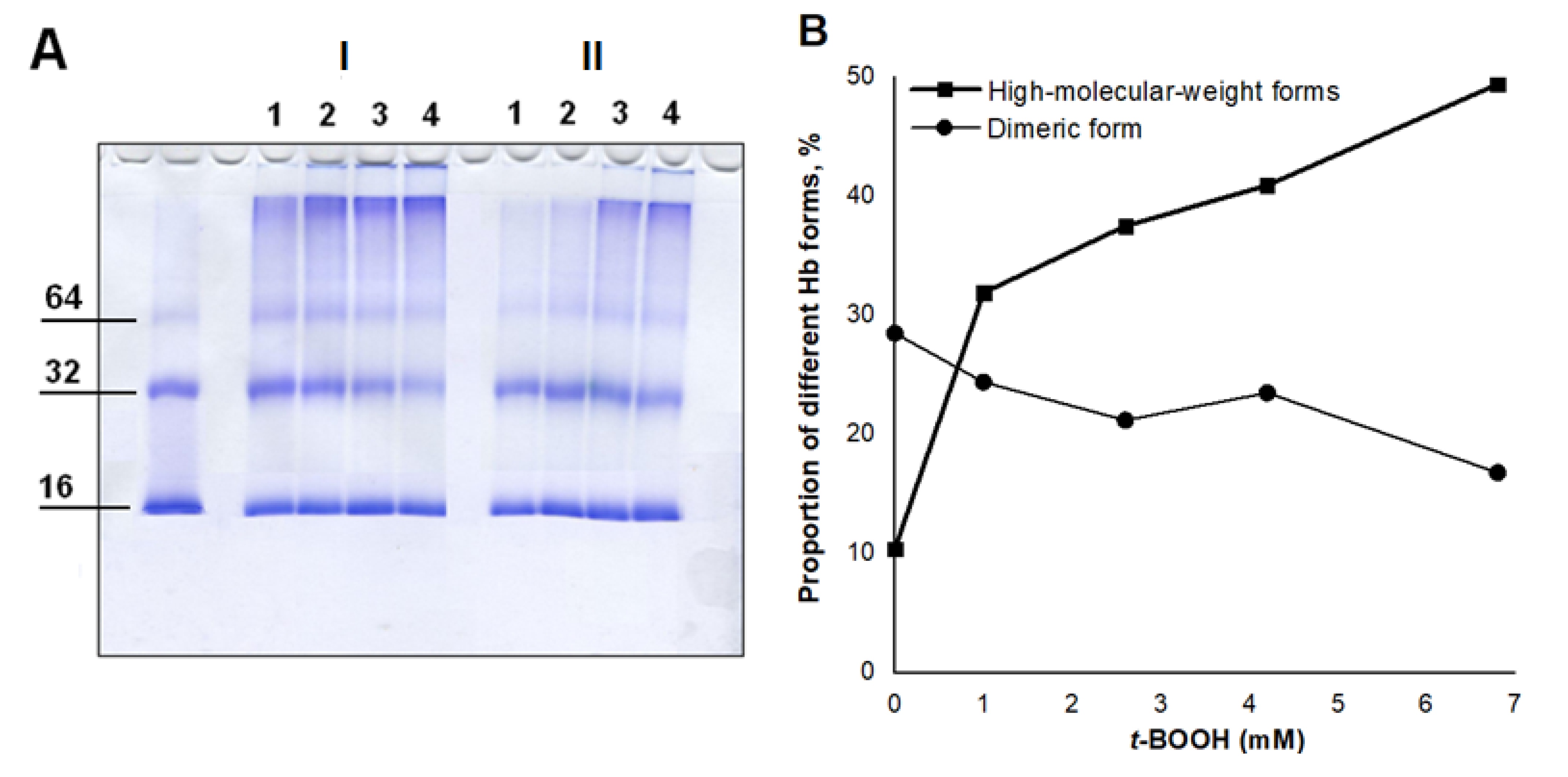Antioxidants 11 02007 g006a Antioxidants 11 02007 g006a