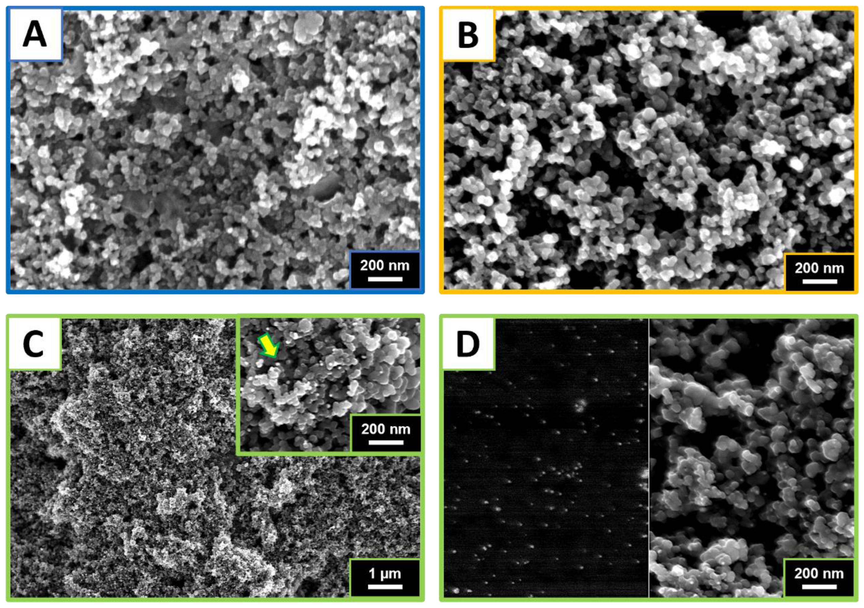 Antioxidants 11 02008 g001