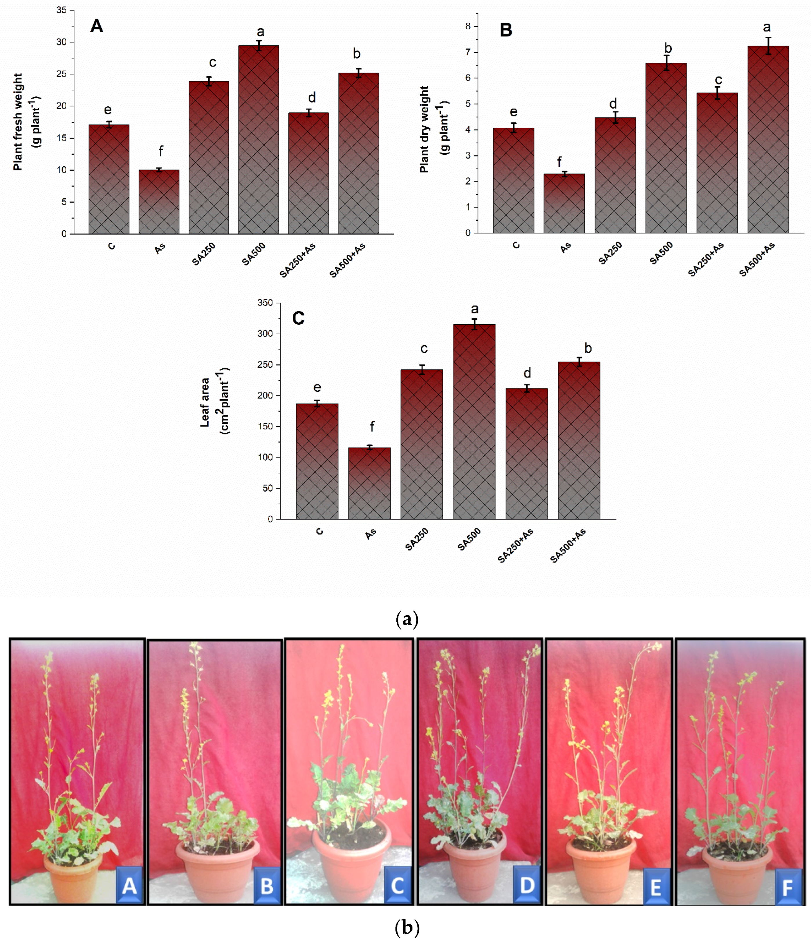 Antioxidants 11 02010 g001