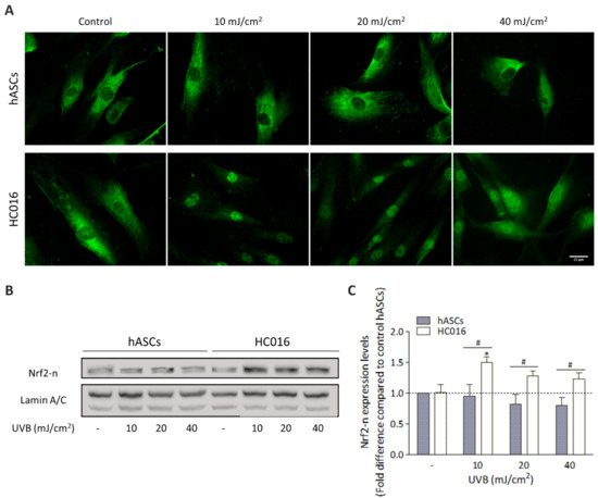 Antioxidants | Free Full-Text | Conditioned Medium from H2O2 