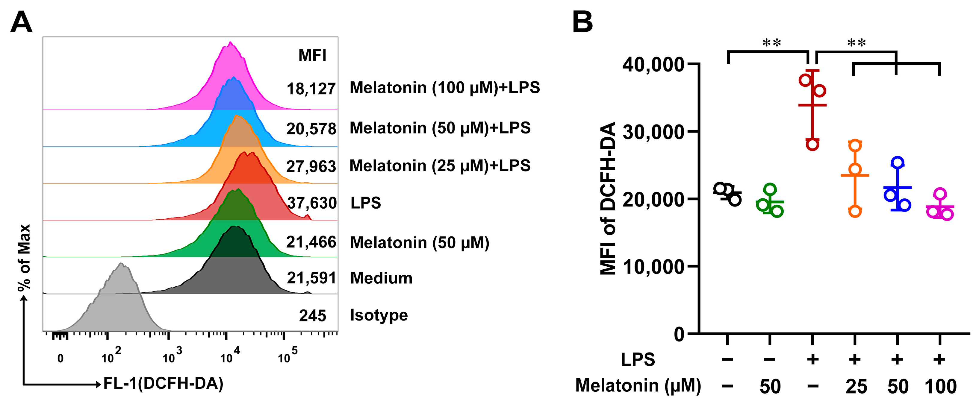 Antioxidants 11 02012 g002 Antioxidants 11 02012 g002
