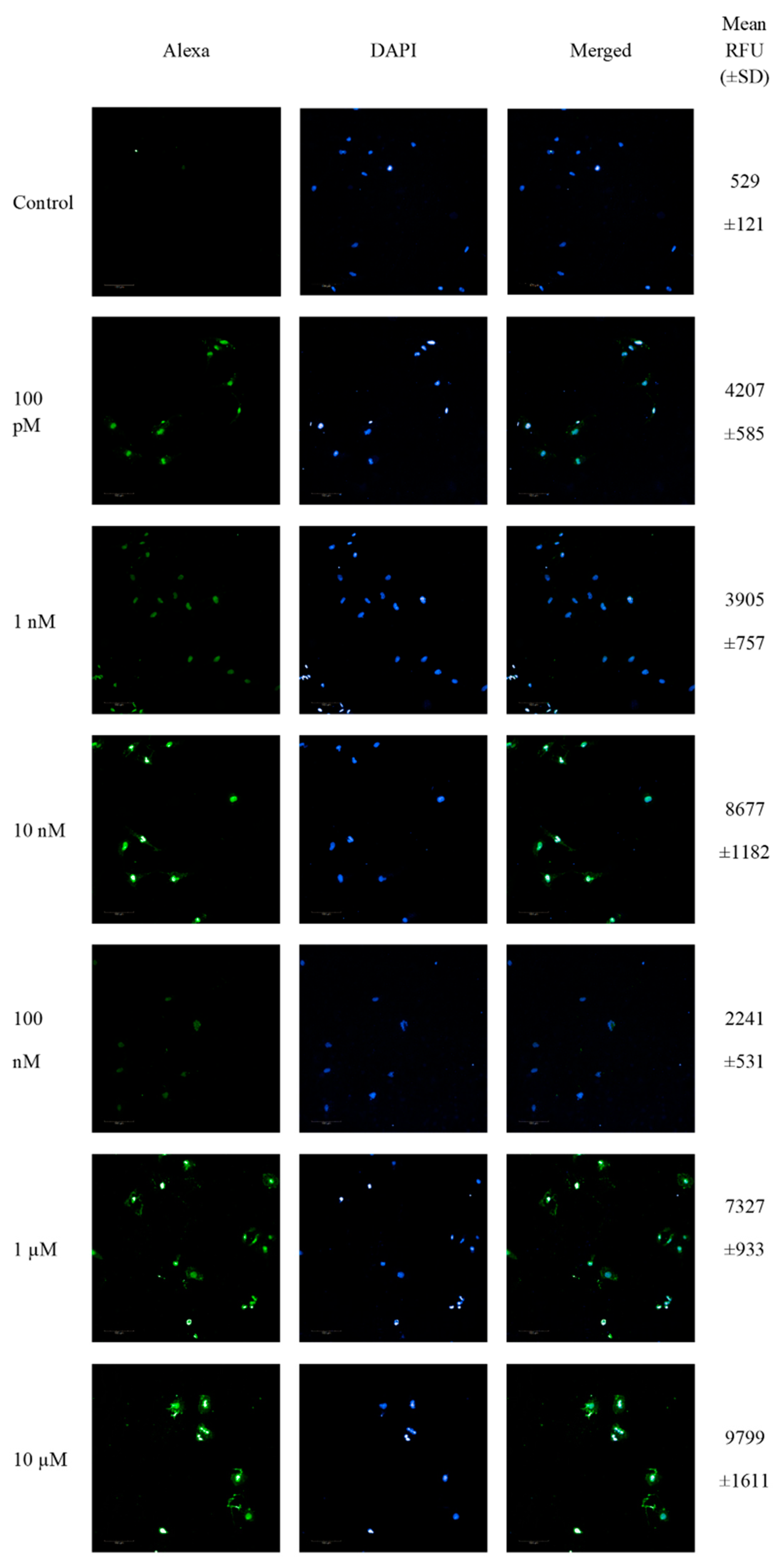 Antioxidants 11 02013 g002 Antioxidants 11 02013 g002