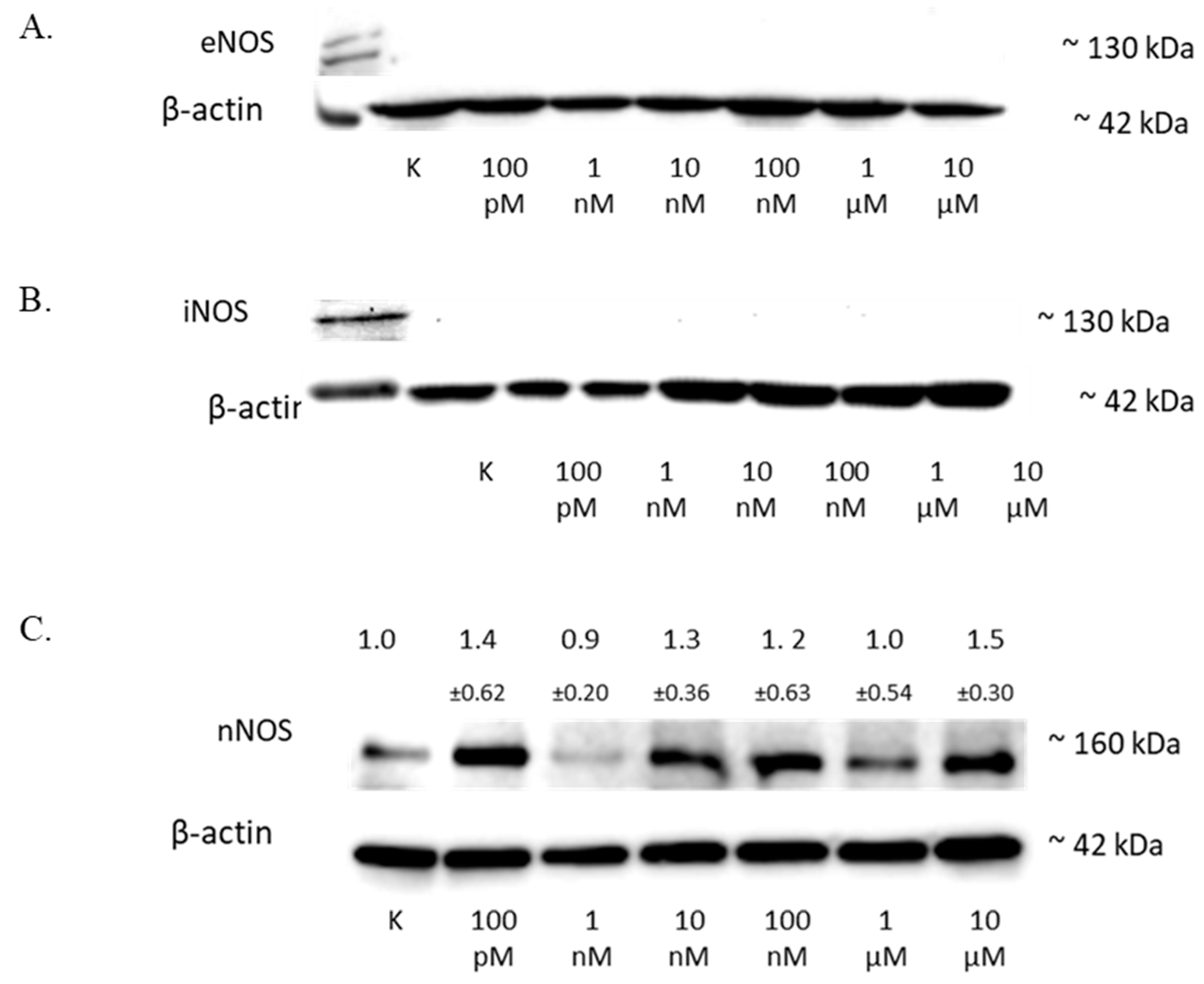 Antioxidants 11 02013 g005 Antioxidants 11 02013 g005