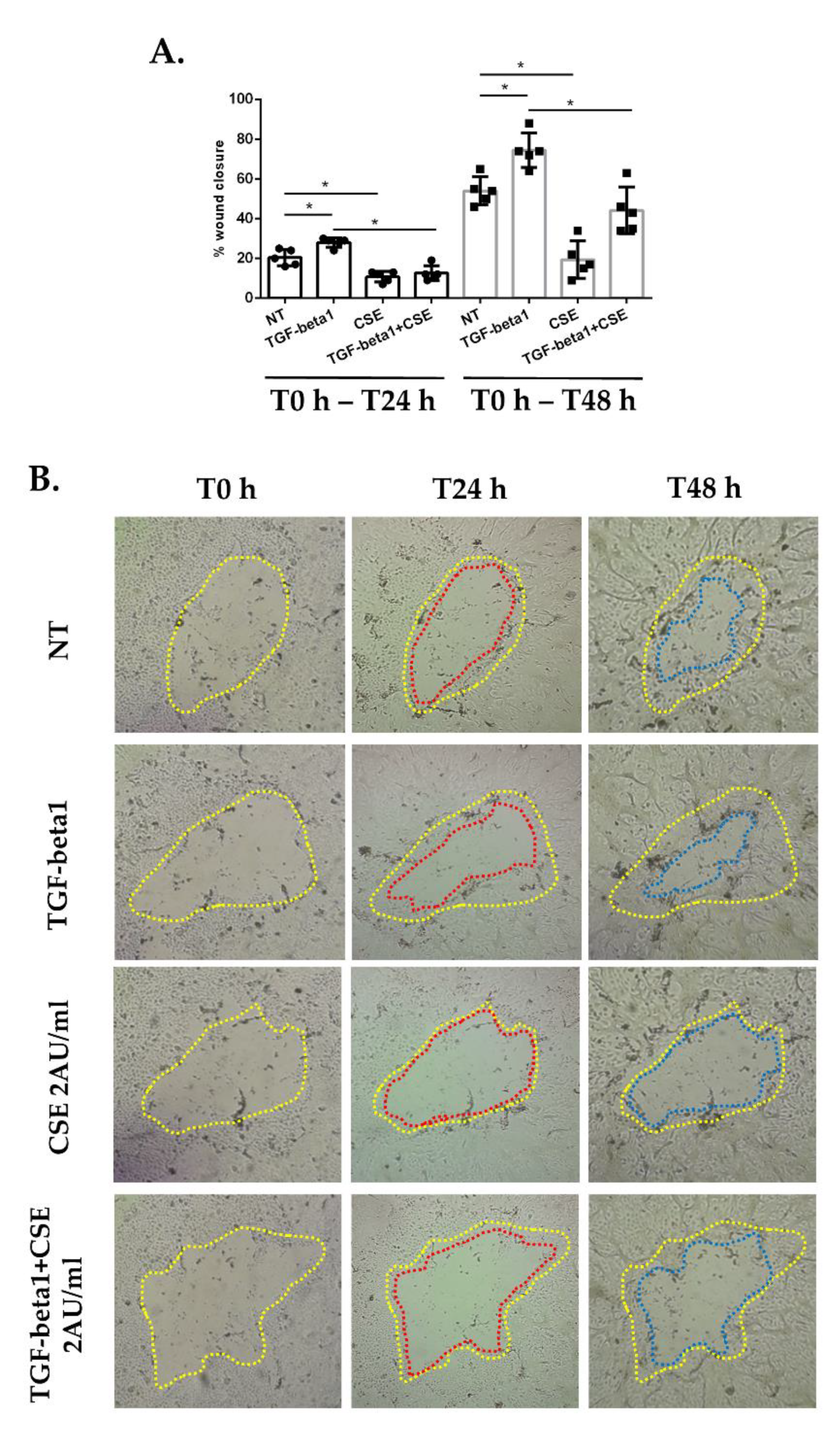 Antioxidants 11 02018 g001