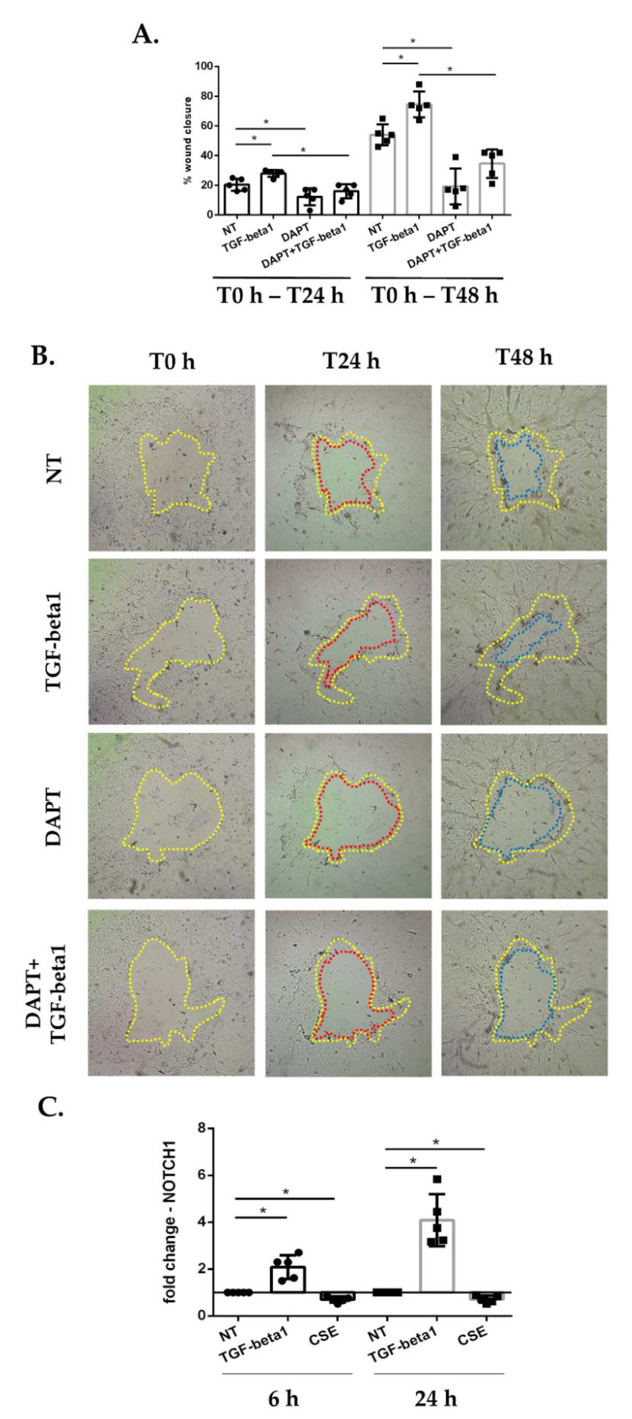 Antioxidants 11 02018 g003