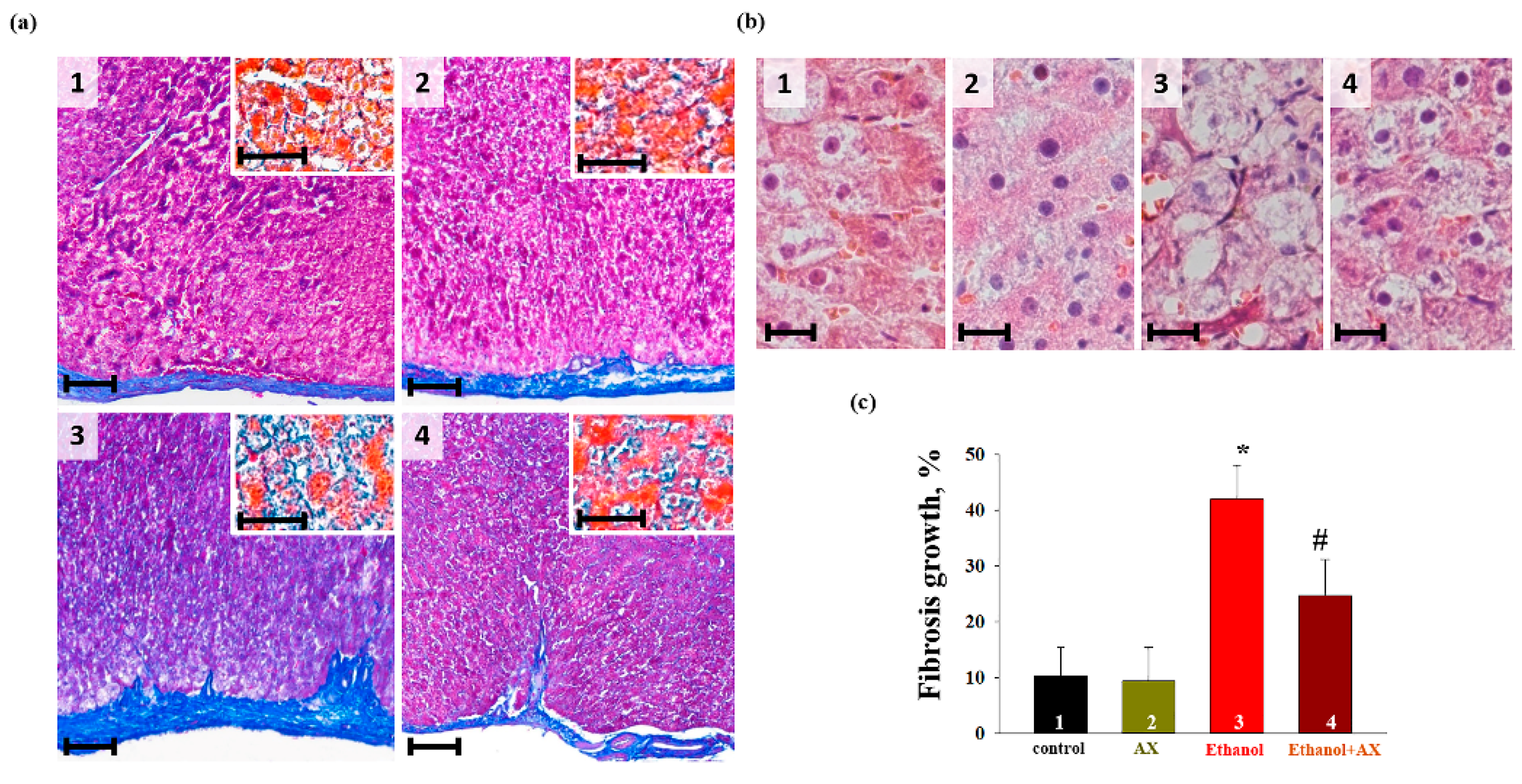Antioxidants 11 02019 g001