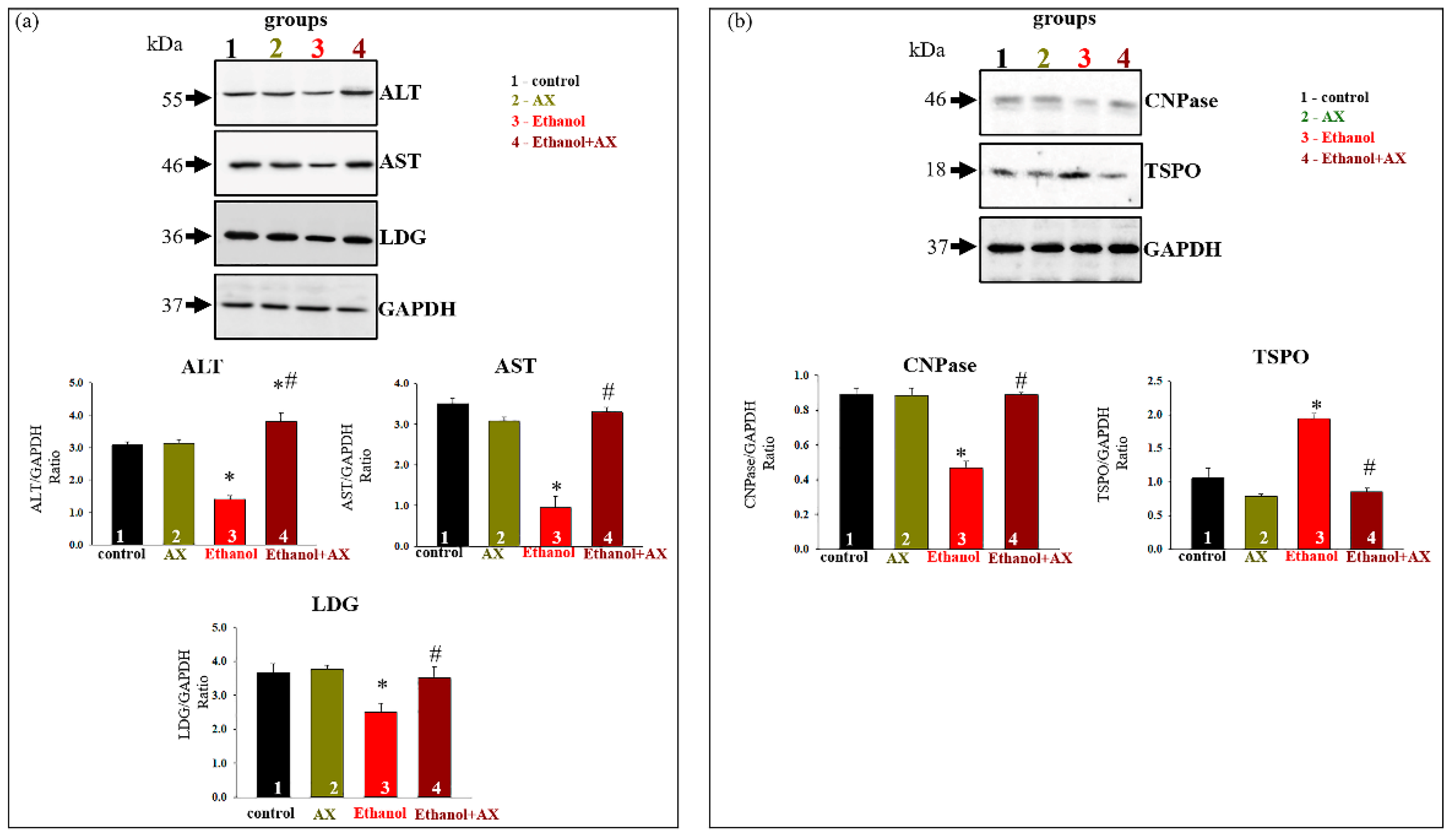 Antioxidants 11 02019 g002
