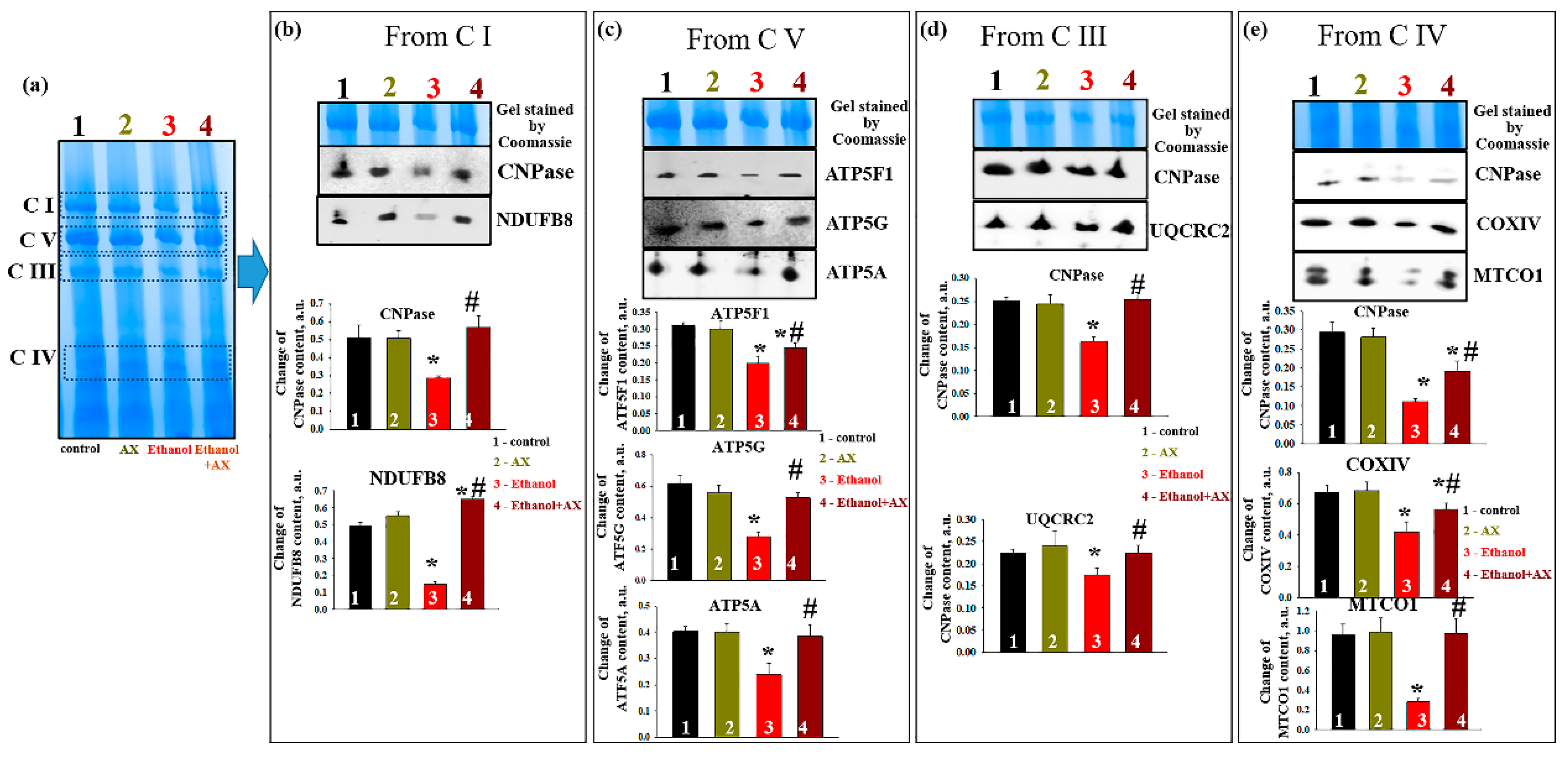 Antioxidants 11 02019 g006