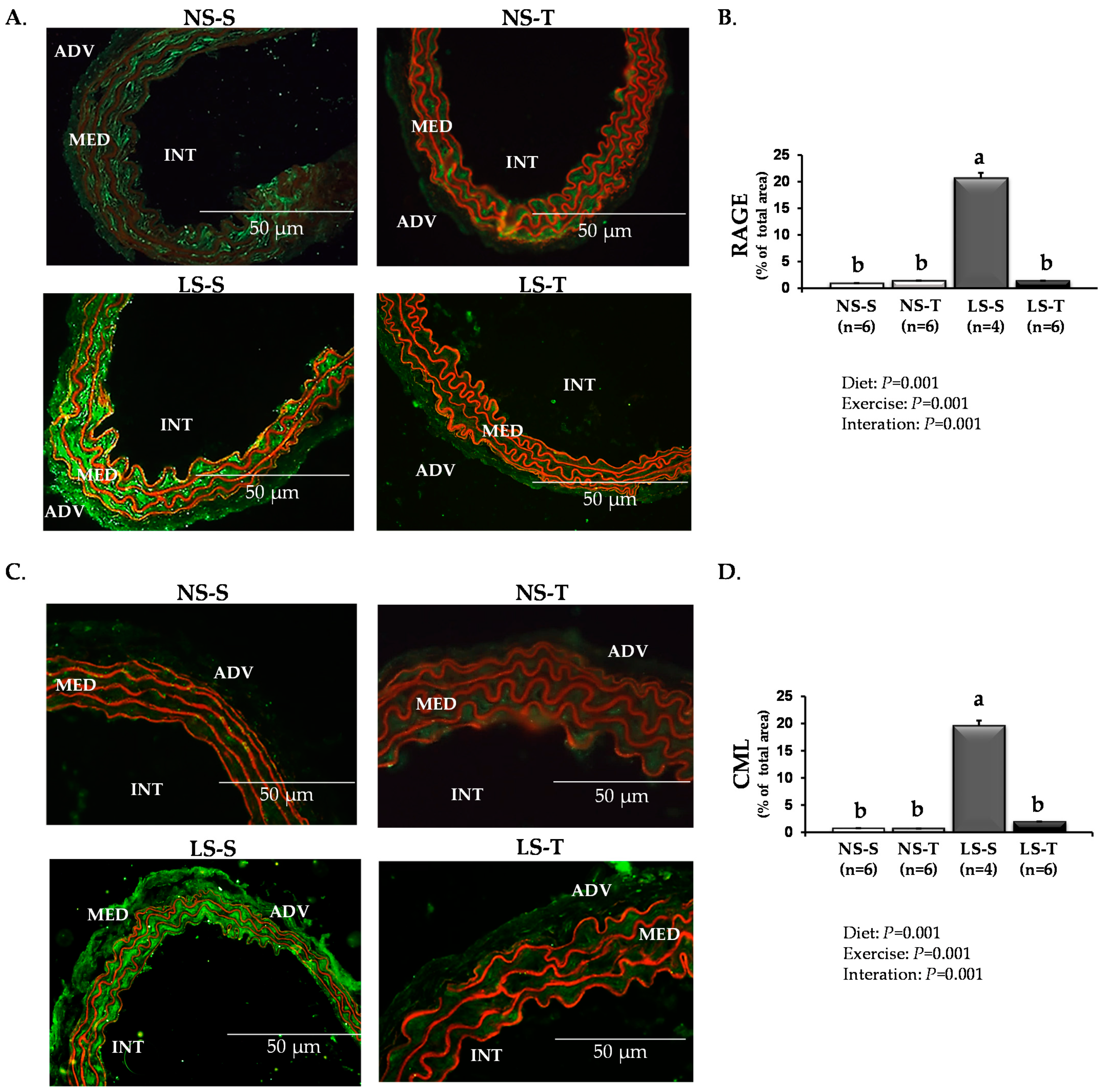 Antioxidants 11 02023 g003