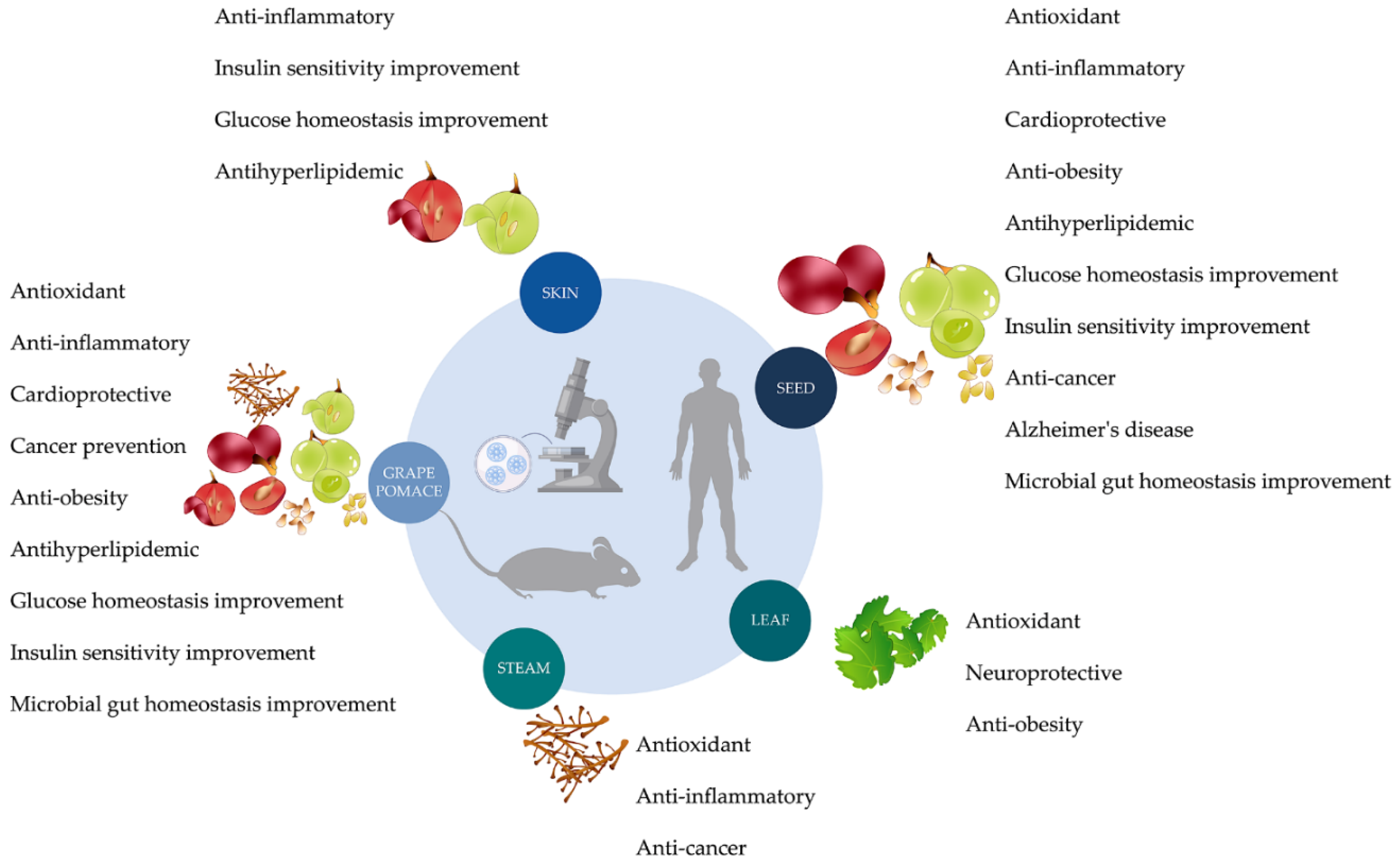 Antioxidants 11 02025 g003 Antioxidants 11 02025 g003