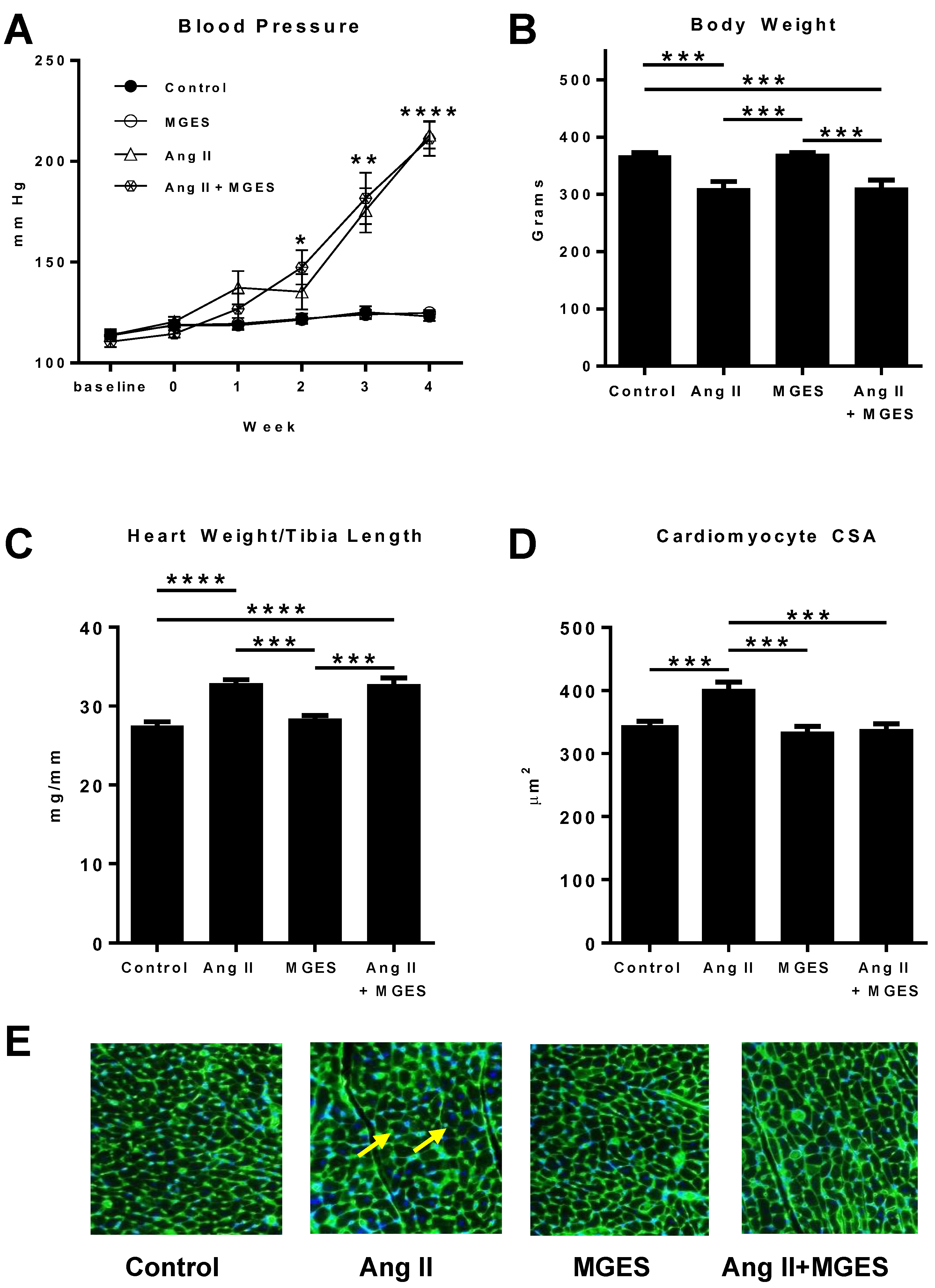 Antioxidants 11 02026 g001 Antioxidants 11 02026 g001
