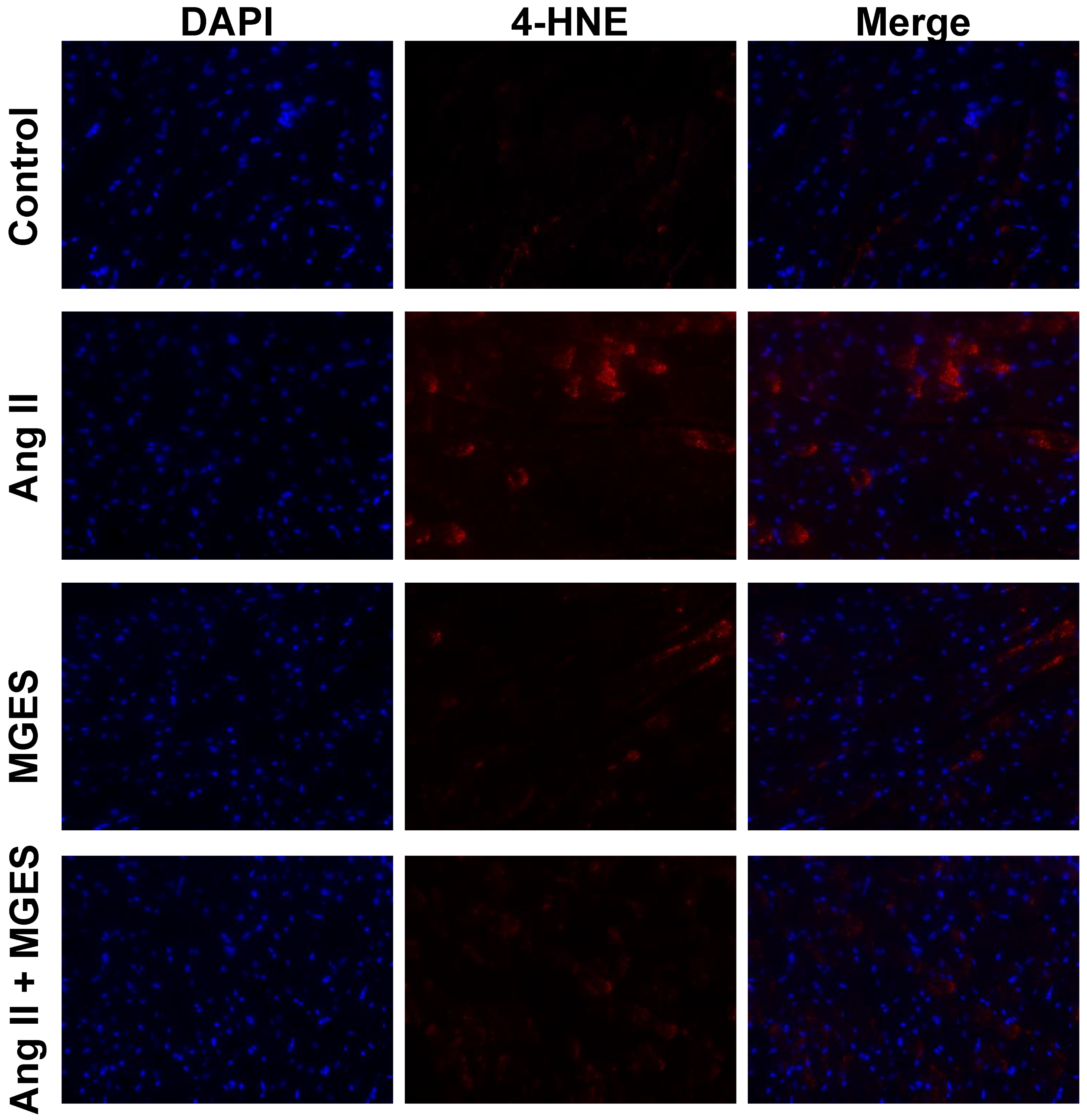 Antioxidants 11 02026 g003 Antioxidants 11 02026 g003