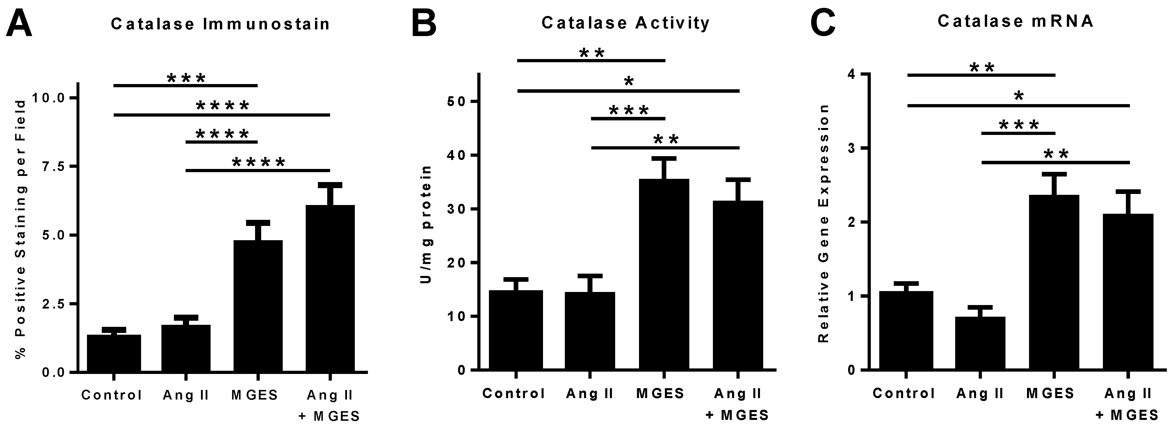 Antioxidants 11 02026 g009 Antioxidants 11 02026 g009