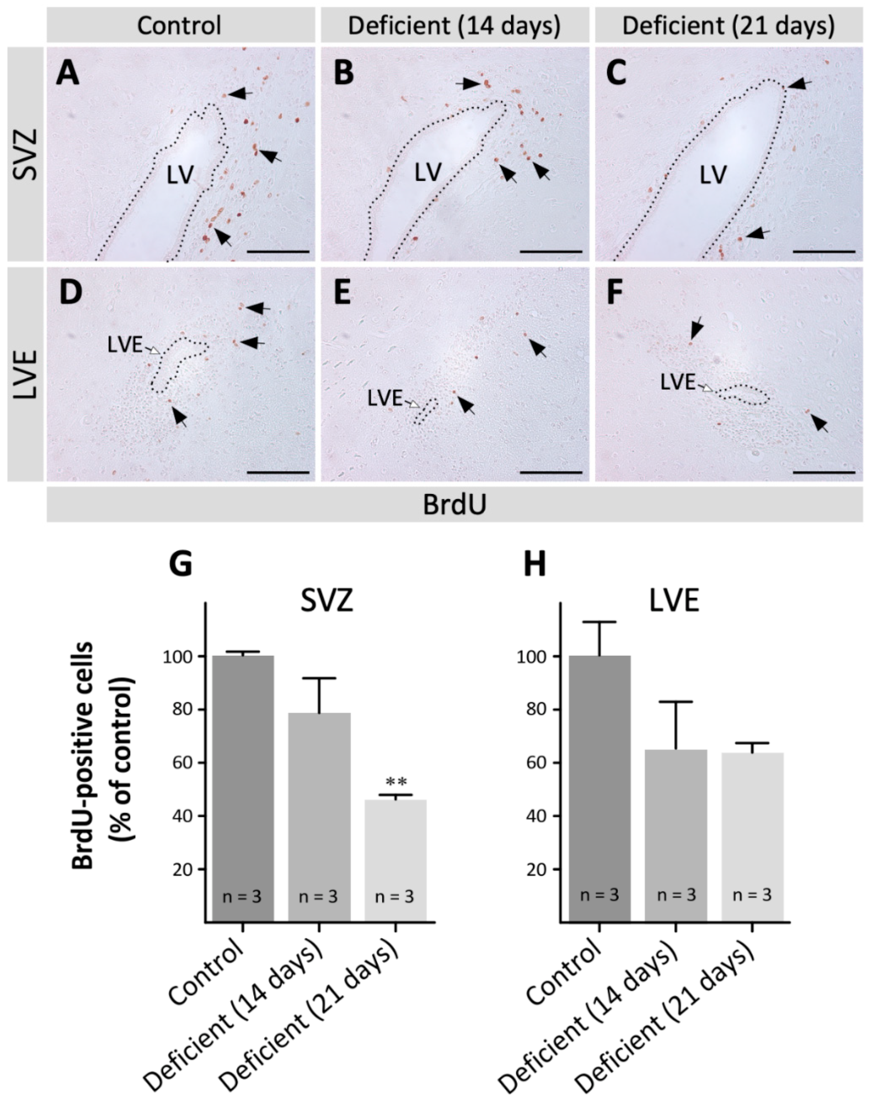 Antioxidants 11 02030 g003