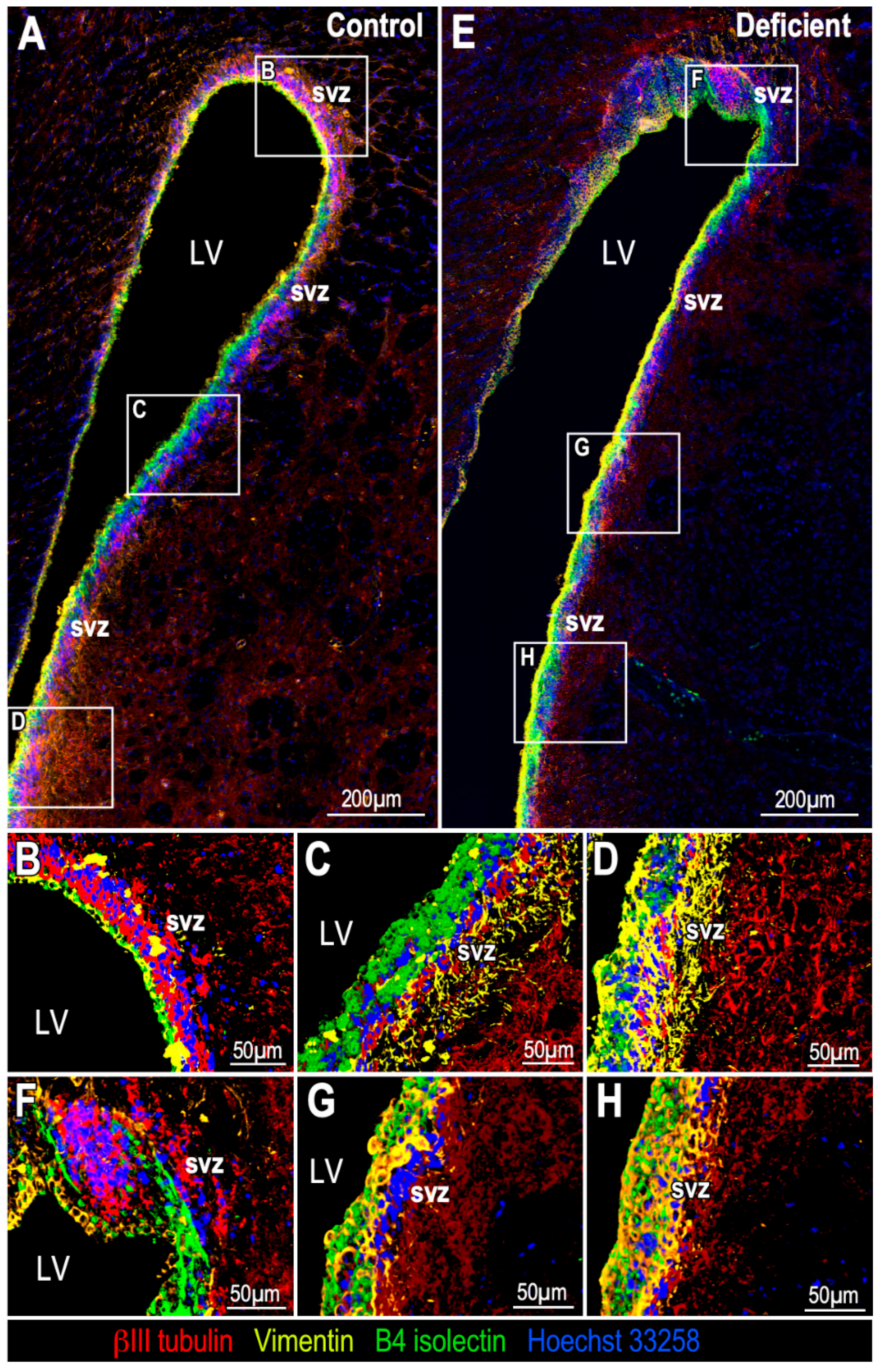 Antioxidants 11 02030 g004
