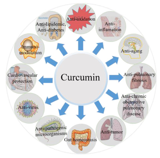 Journal of Biochemical and Molecular Toxicology: Early View