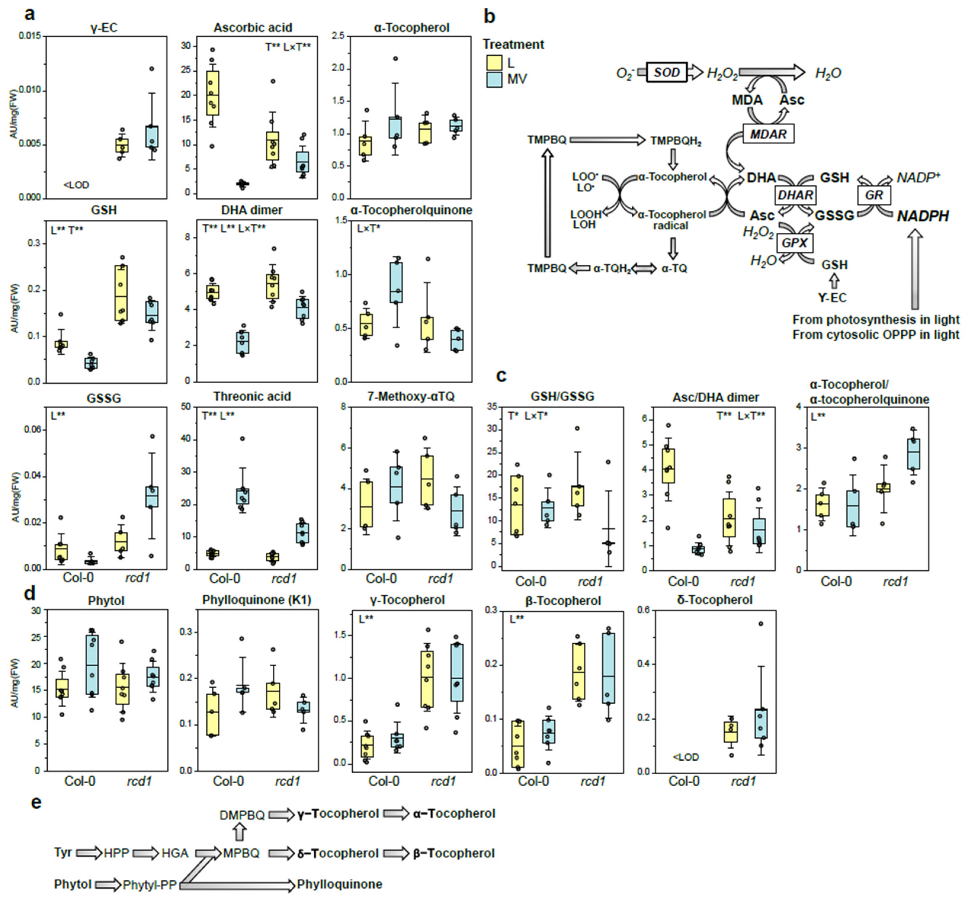 Antioxidants 11 02034 g004