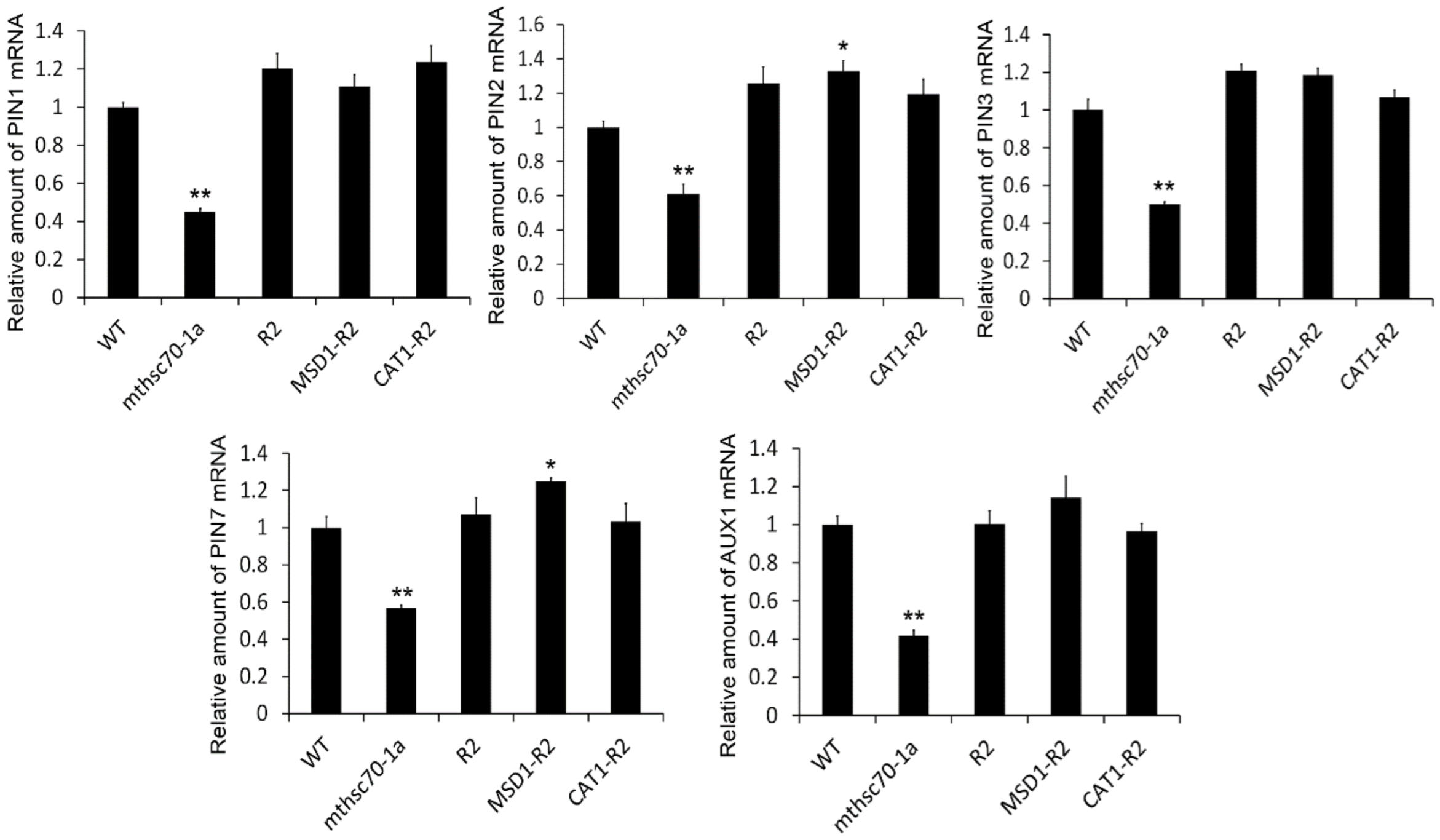 Antioxidants 11 02035 g008 Antioxidants 11 02035 g008