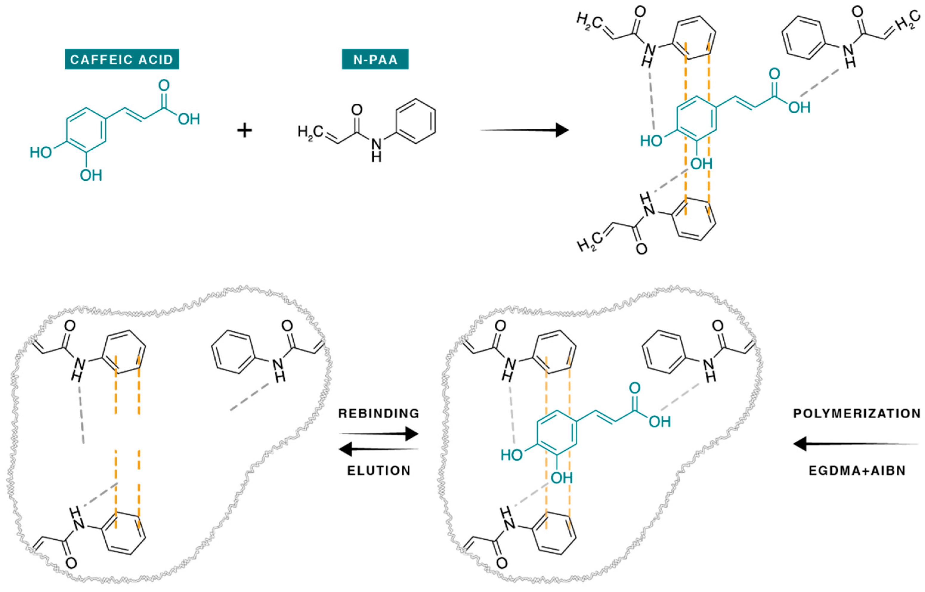 Antioxidants 11 02036 g001 Antioxidants 11 02036 g001