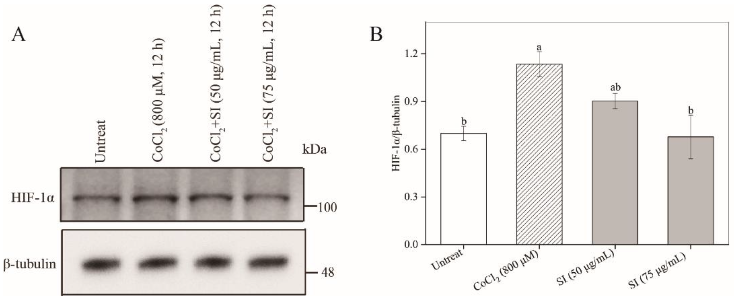 Antioxidants 11 02037 g002 Antioxidants 11 02037 g002